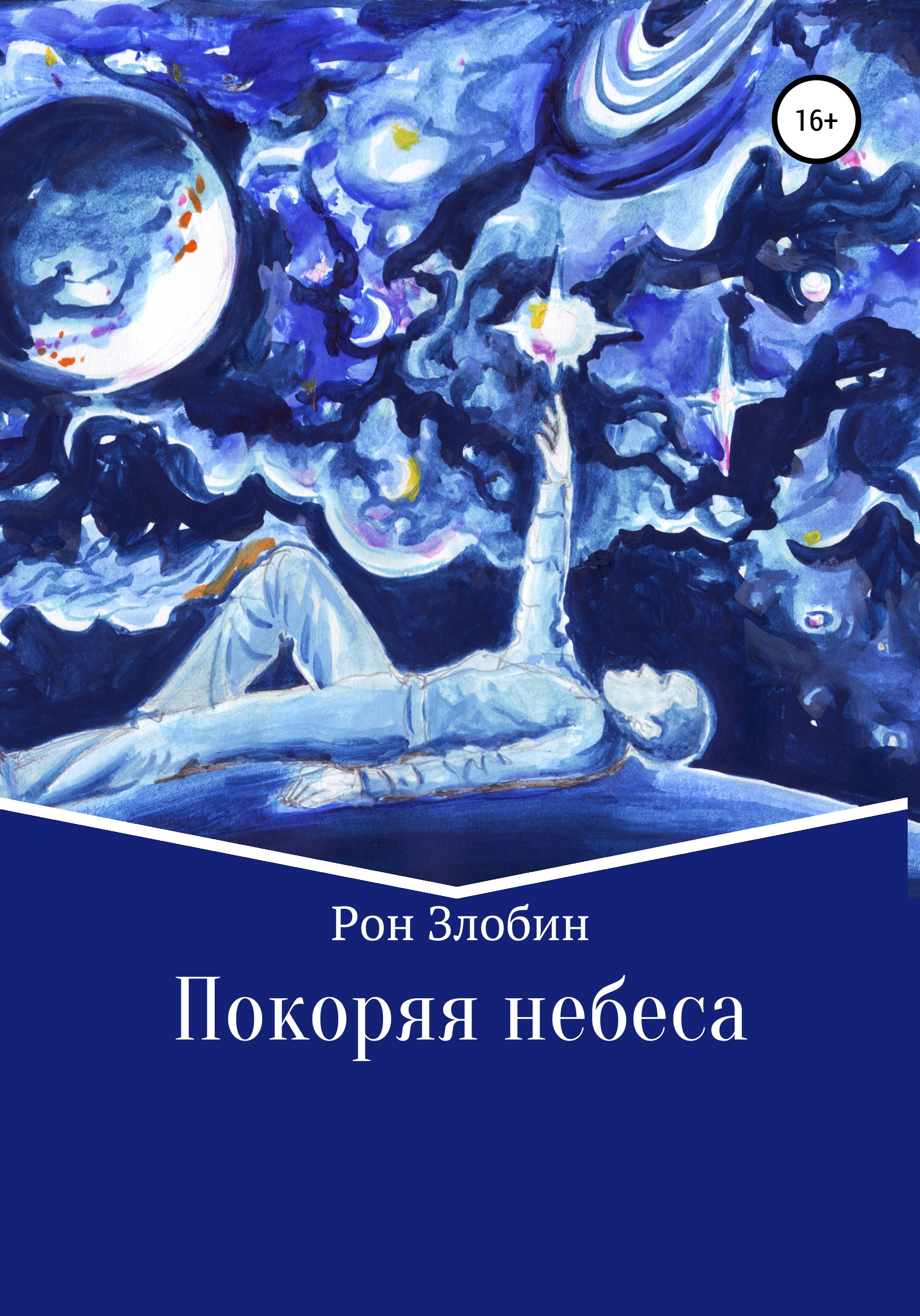 Обложка книги «Покоряя небеса»