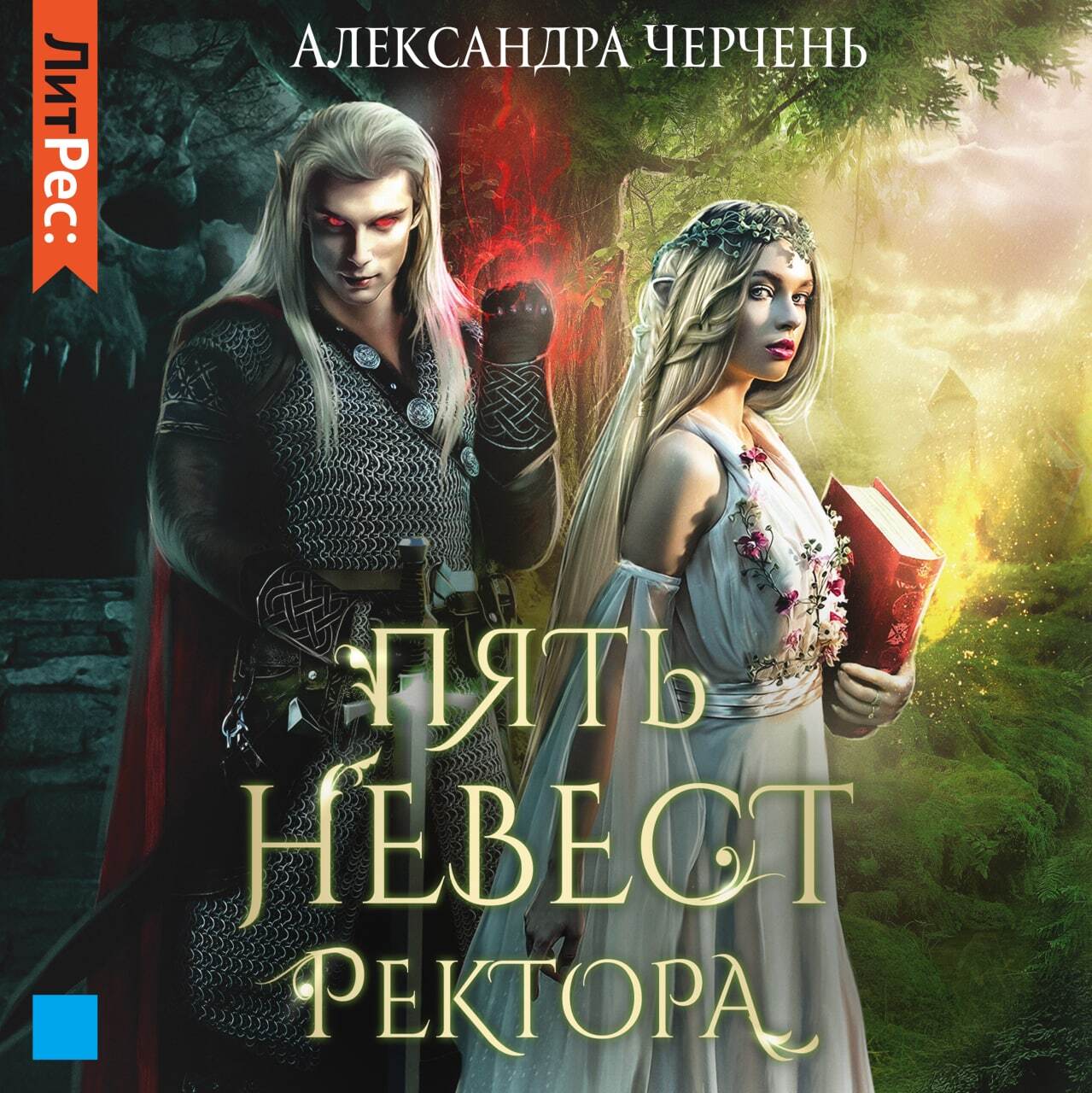 Обложка книги «Пять невест ректора»