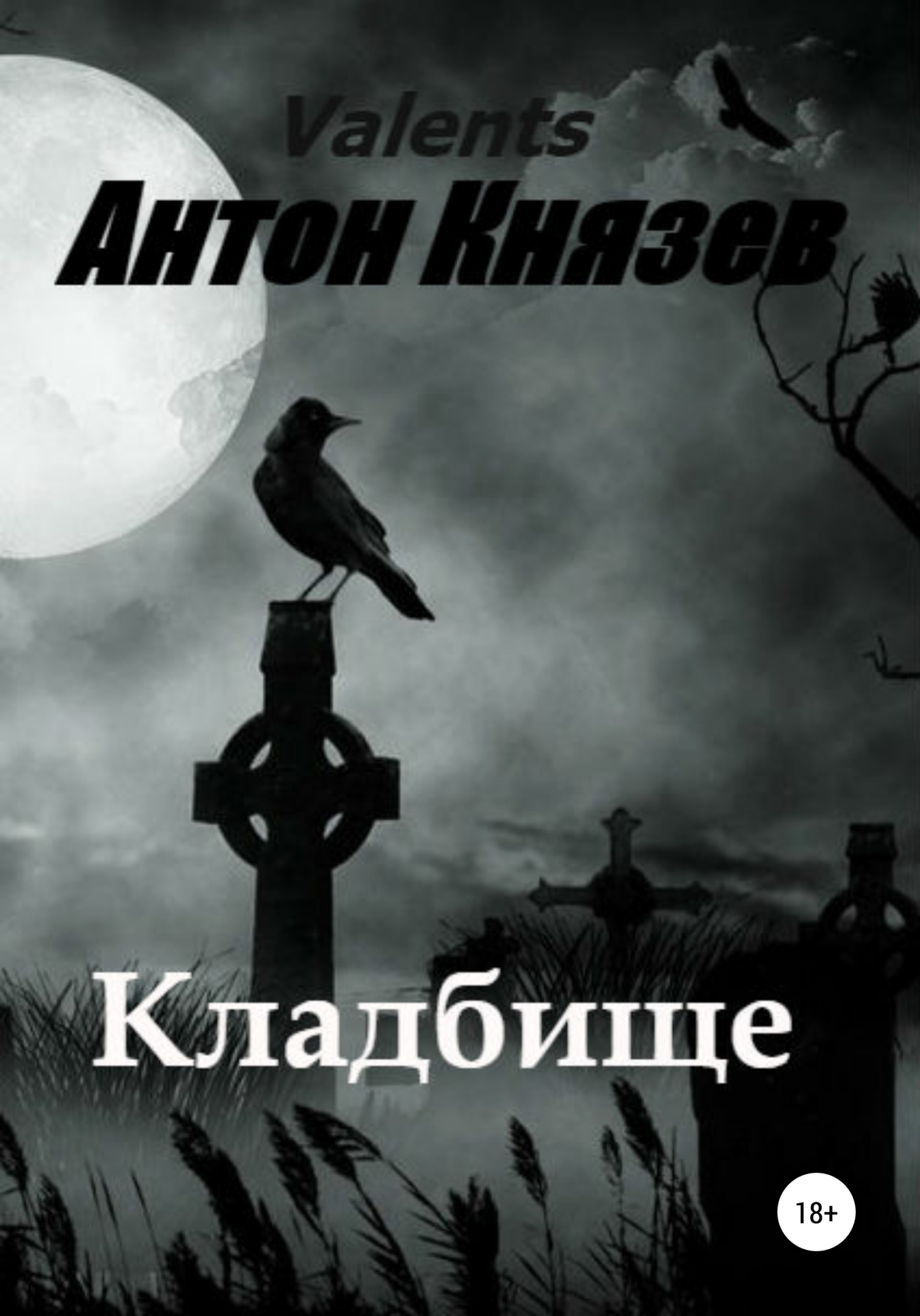 Обложка книги «Кладбище»