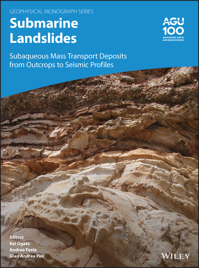 Обложка книги «Submarine Landslides»