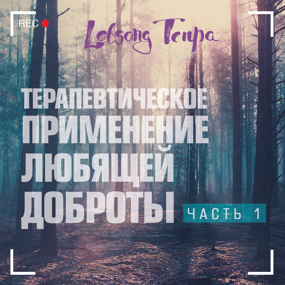 Обложка книги «Терапевтическое применение практики любящей доброты. Часть 1»
