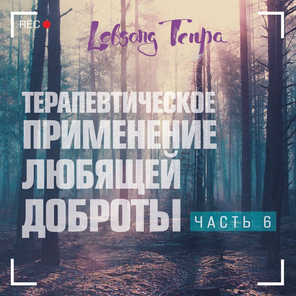 Обложка книги «Терапевтическое применение практики любящей доброты. Часть 6»