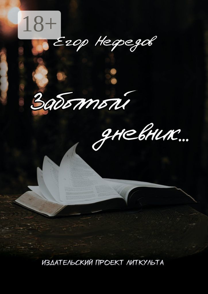 Обложка книги «Забытый дневник…»