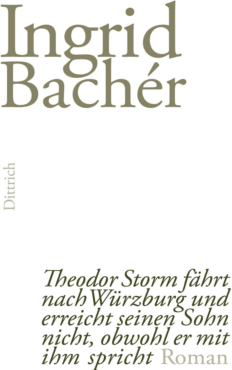 Обложка книги «Theodor Storm fährt nach Würzburg und erreicht seinen Sohn nicht, obwohl er mit ihm spricht»