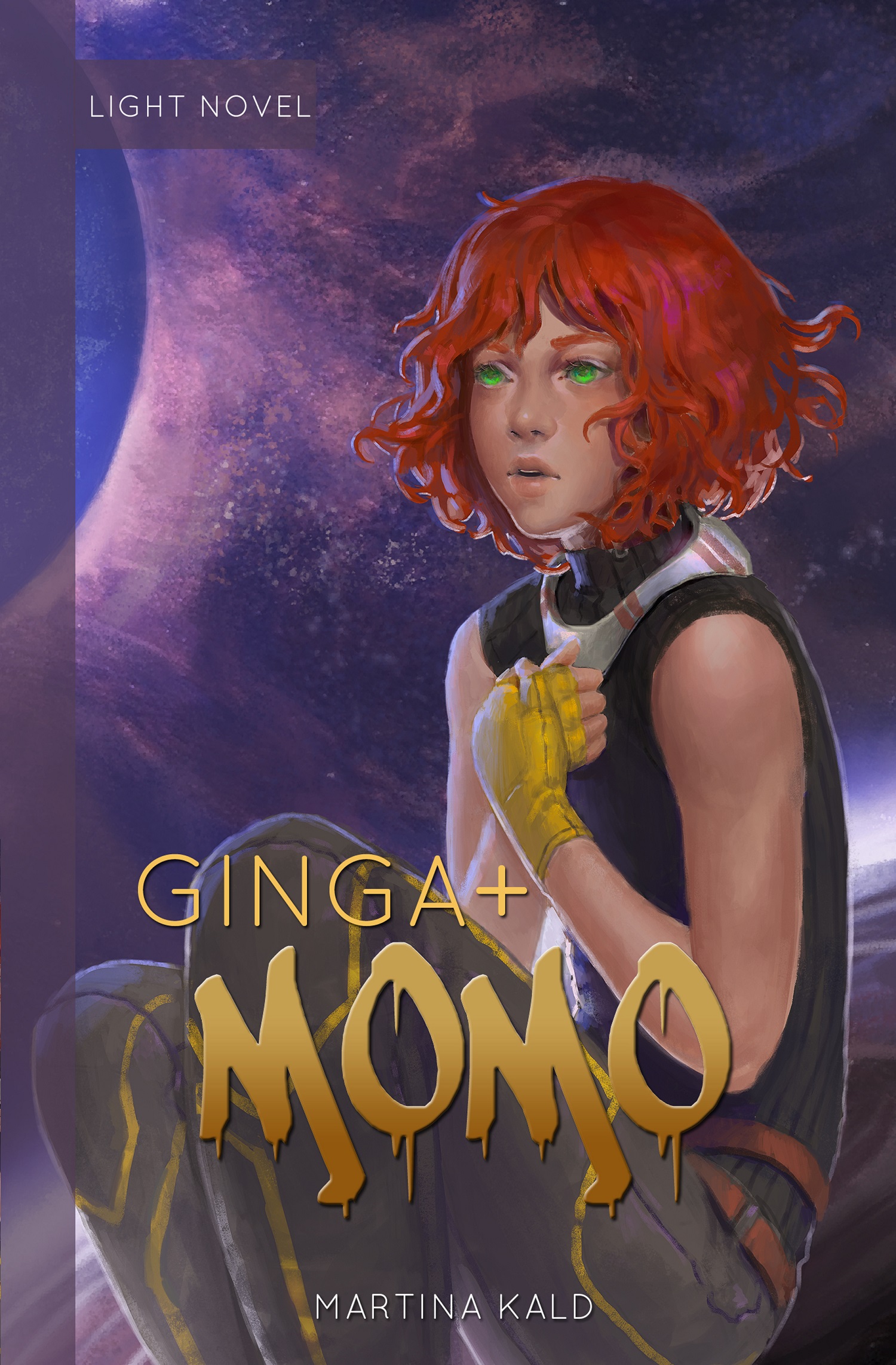 Обложка книги «Ginga+ Momo»