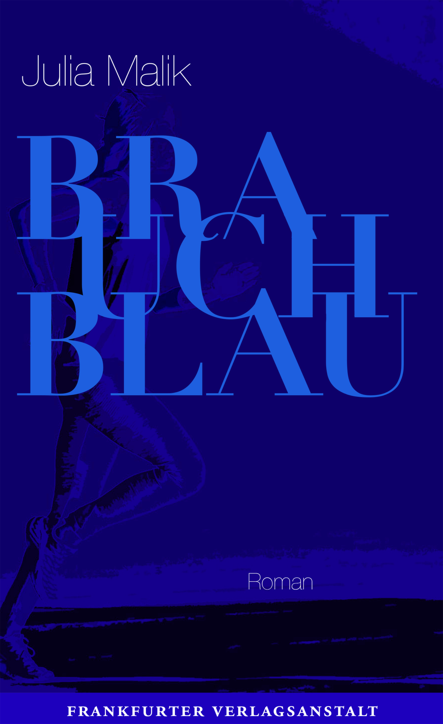 Обложка книги «Brauch Blau»