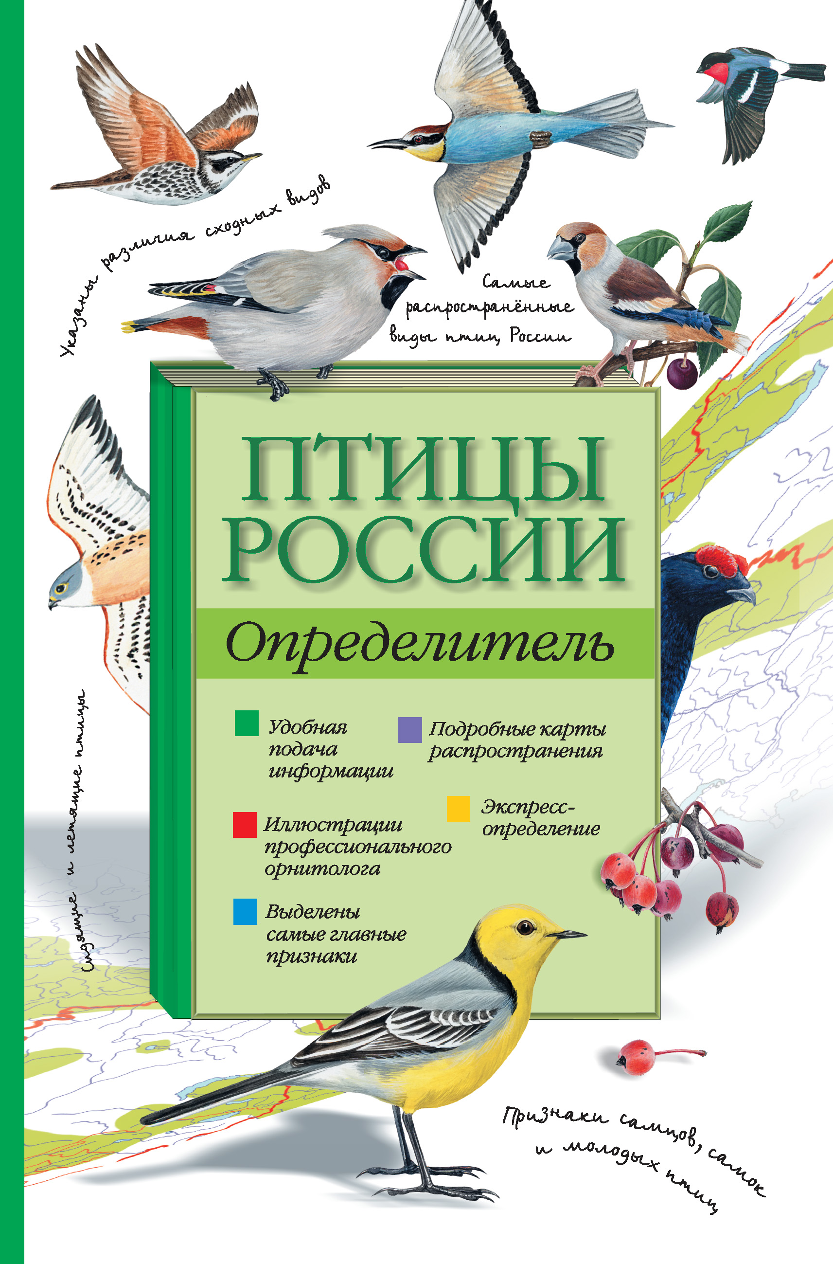Обложка книги «Птицы России. Определитель»