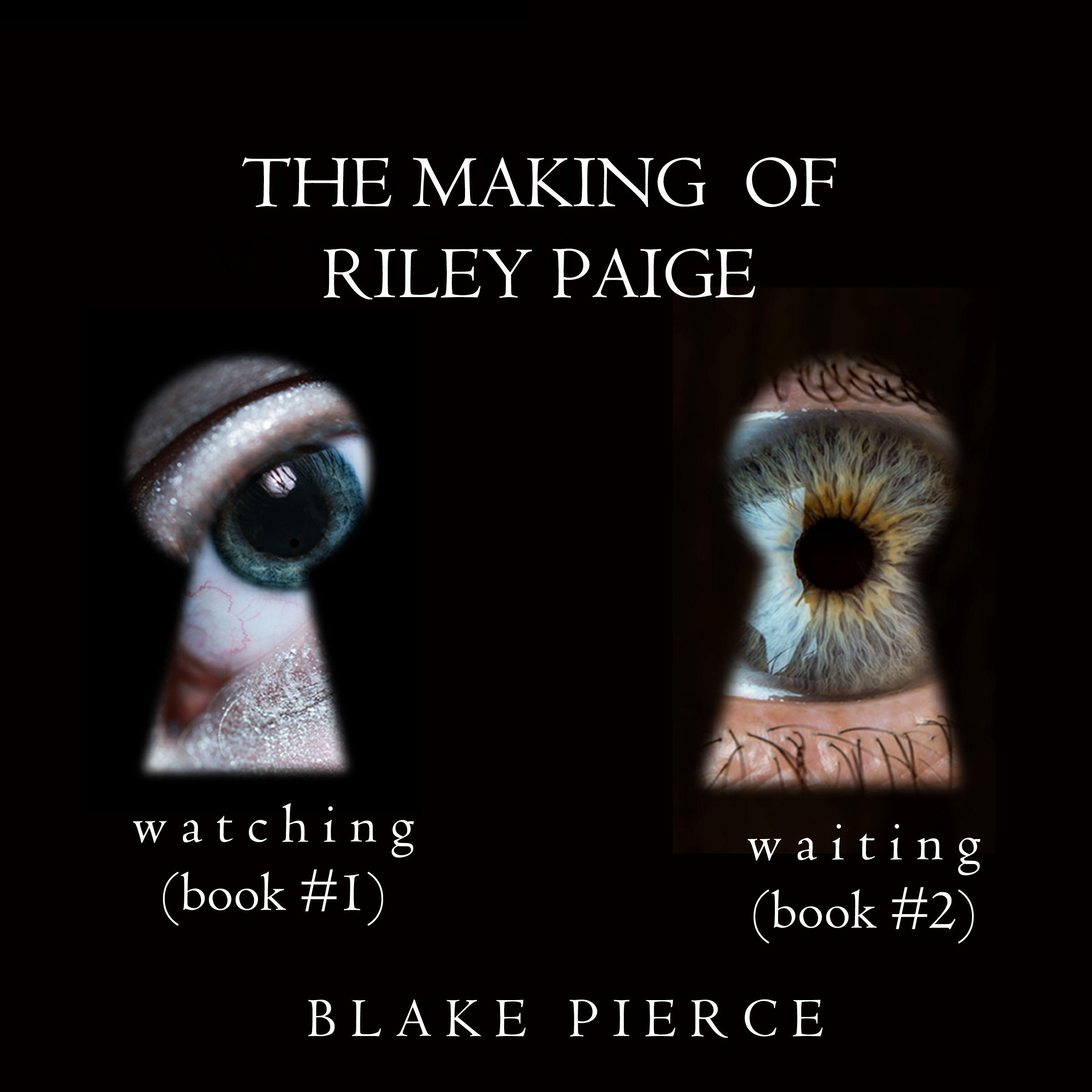 Обложка книги «The Making of Riley Paige Bundle: Watching»