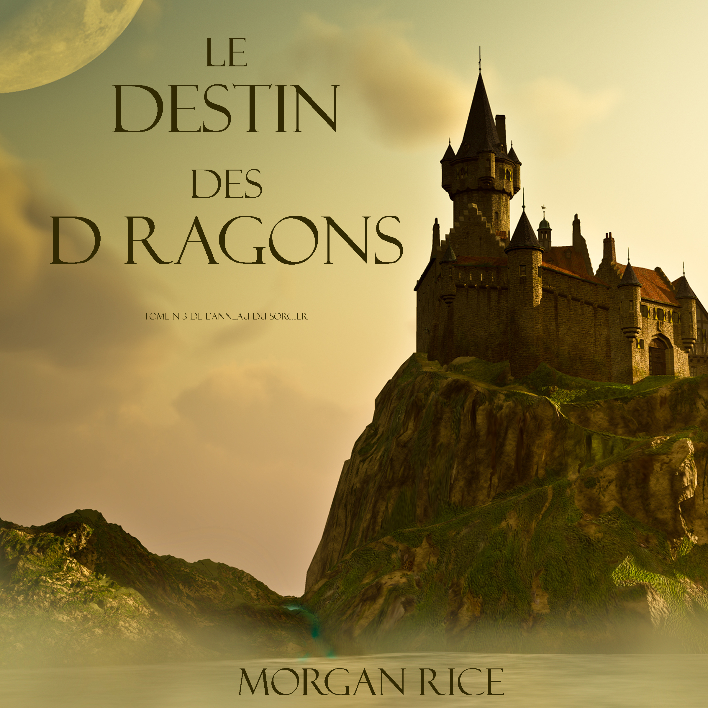 Обложка книги «Le Destin Des Dragons»