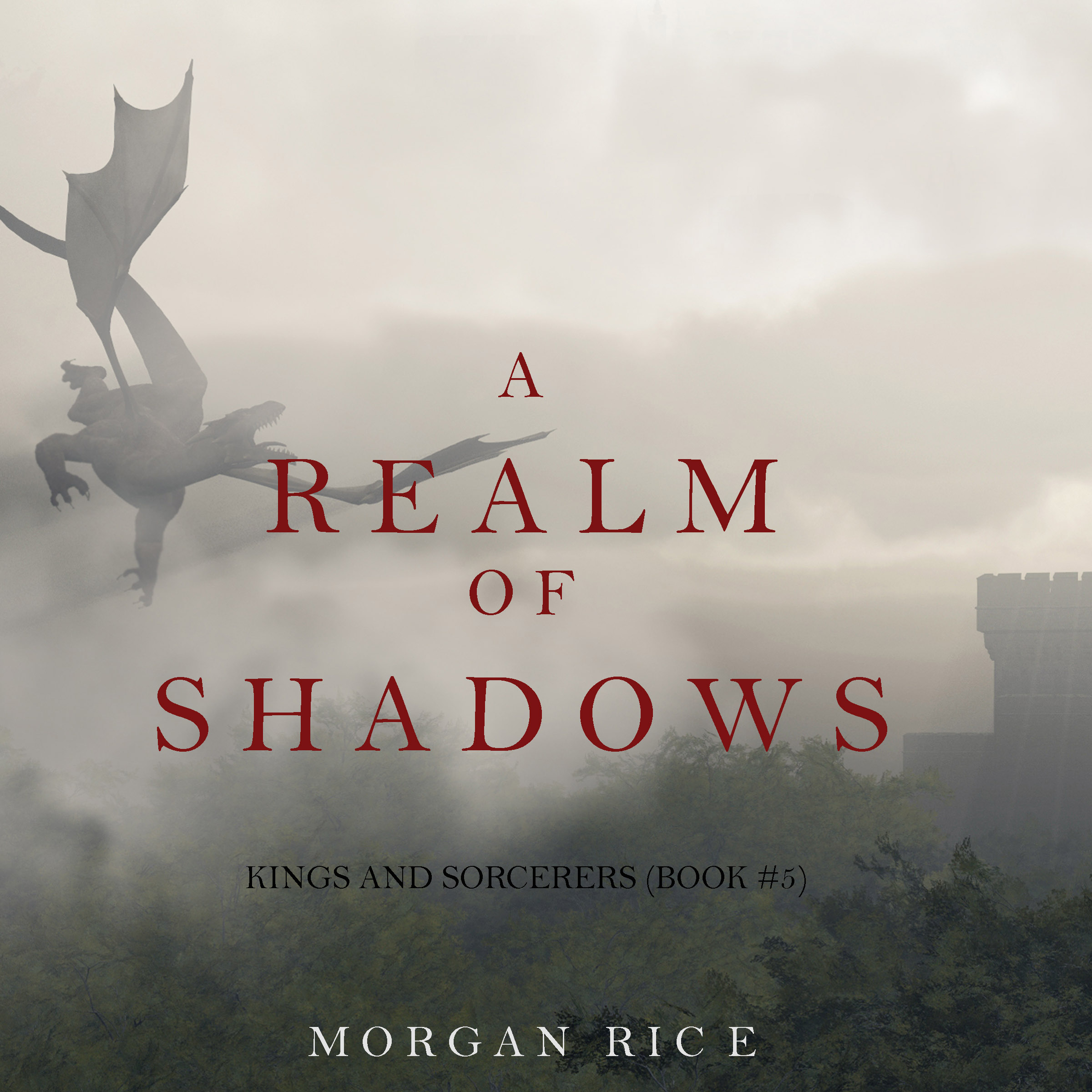 Обложка книги «A Realm of Shadows»