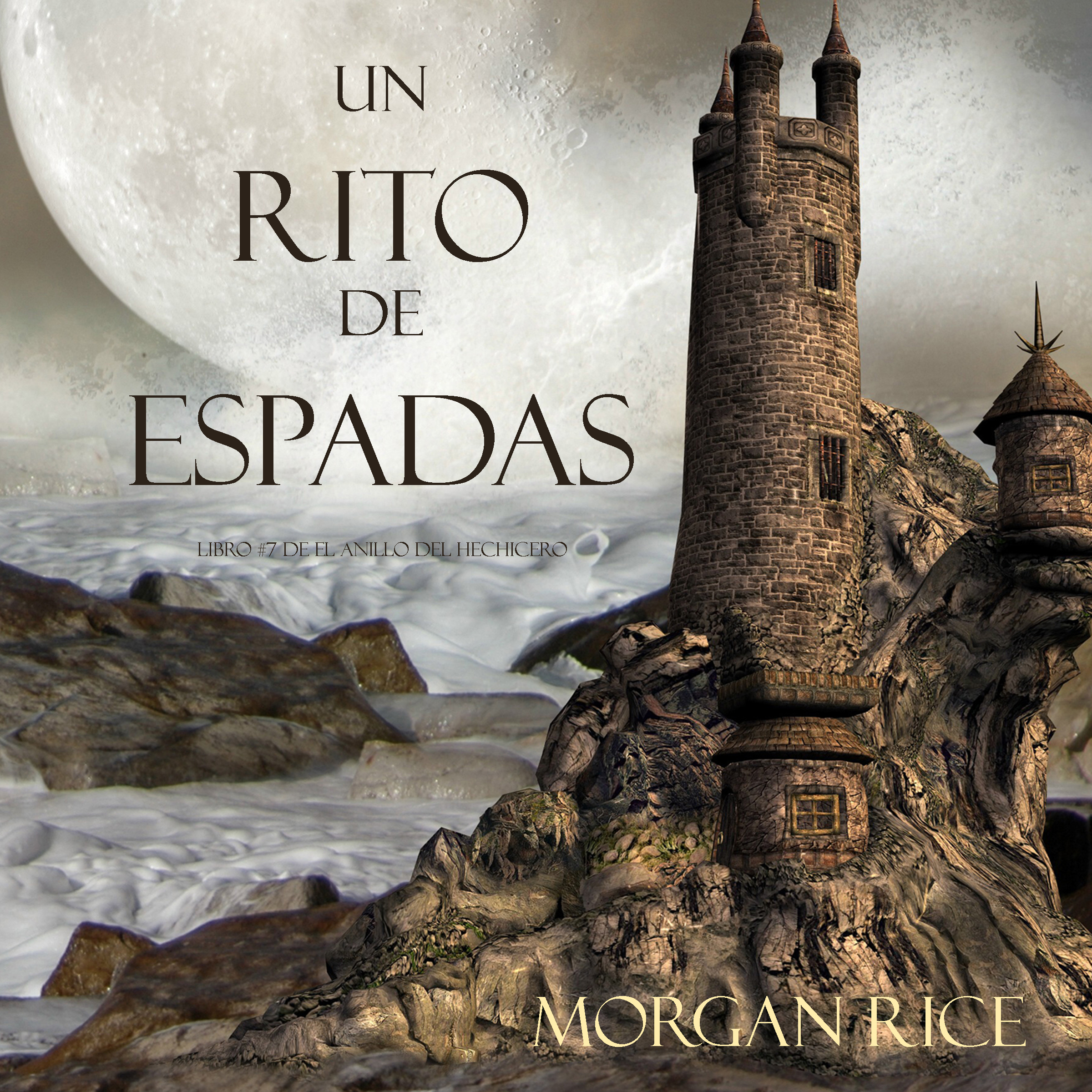 Обложка книги «Un Rito De Espadas»