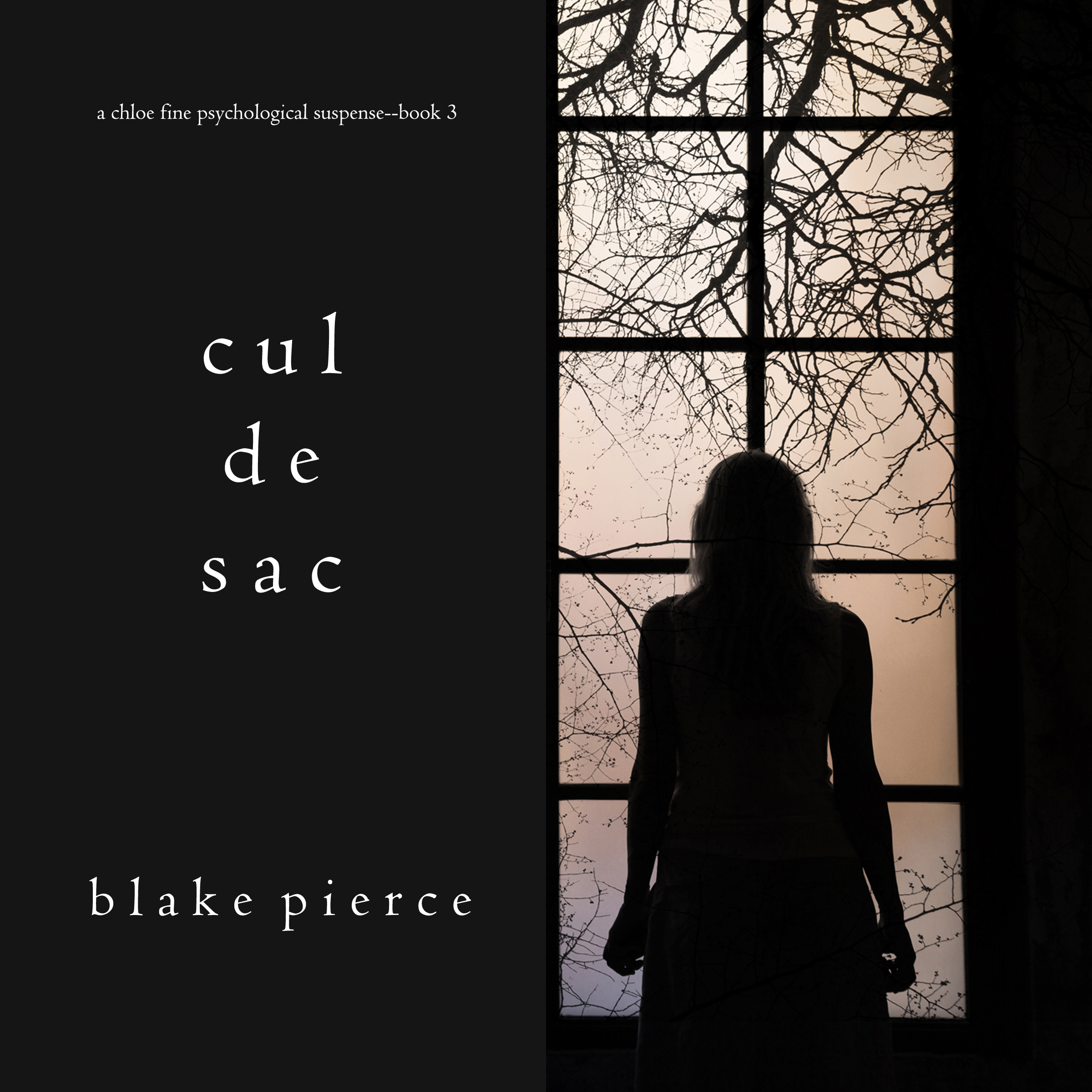 Обложка книги «Cul de Sac»