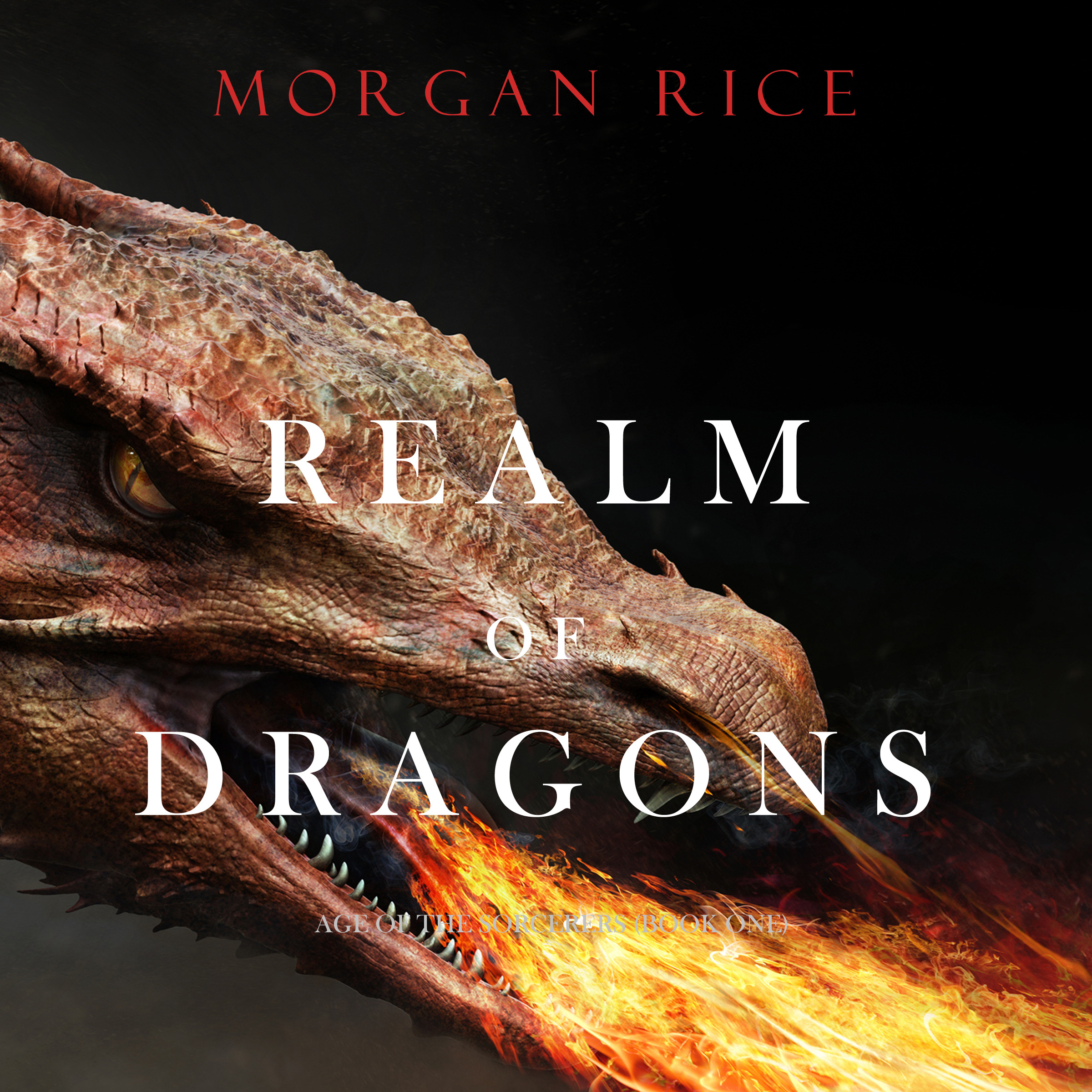 Обложка книги «Realm of Dragons»