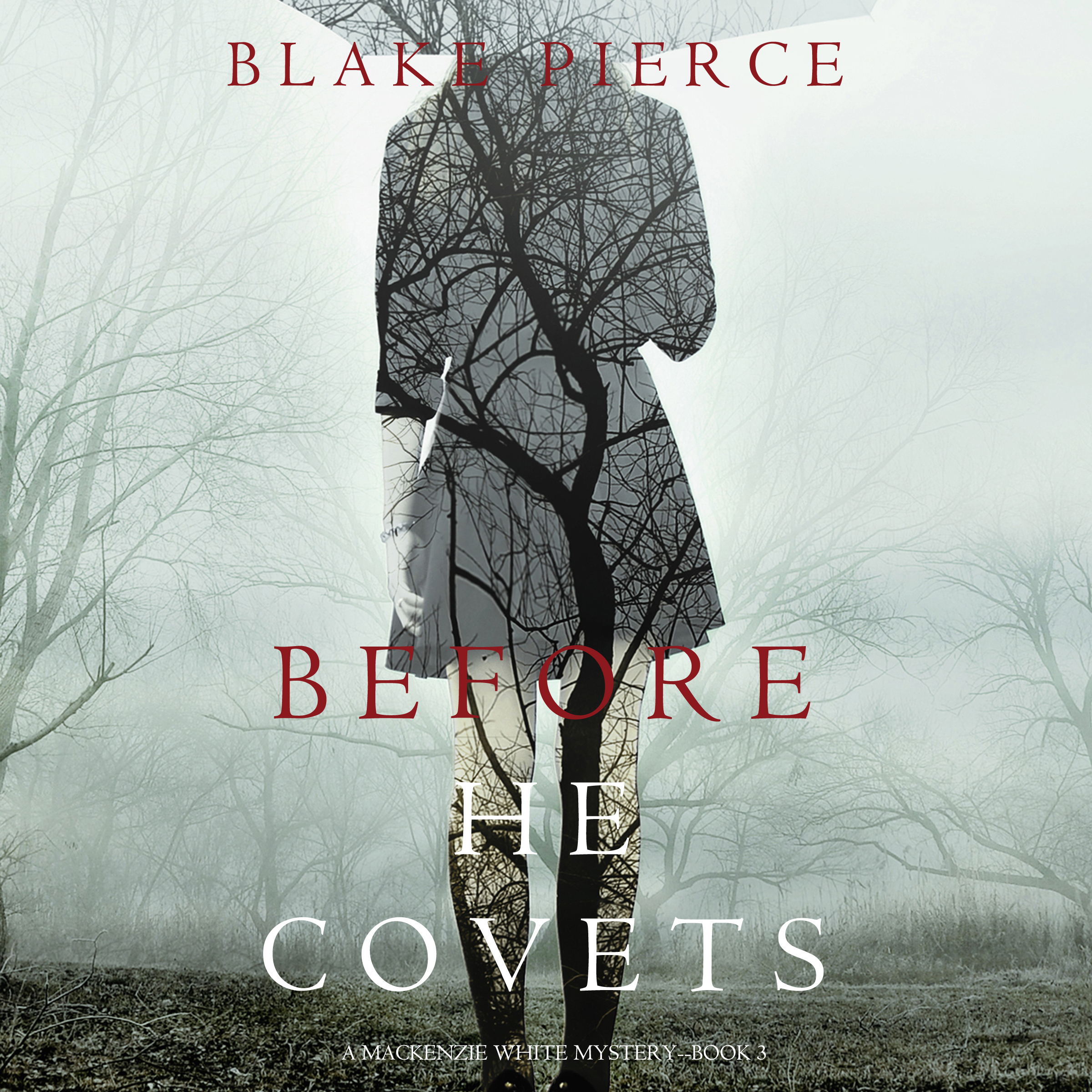 Обложка книги «Before He Covets»