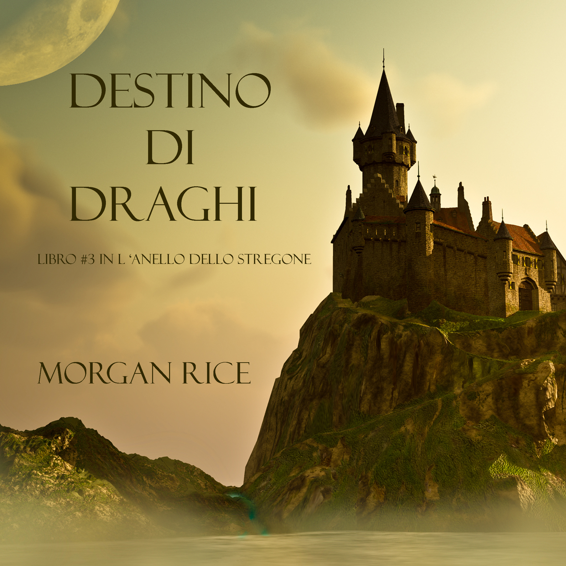 Обложка книги «Destino Di Draghi»