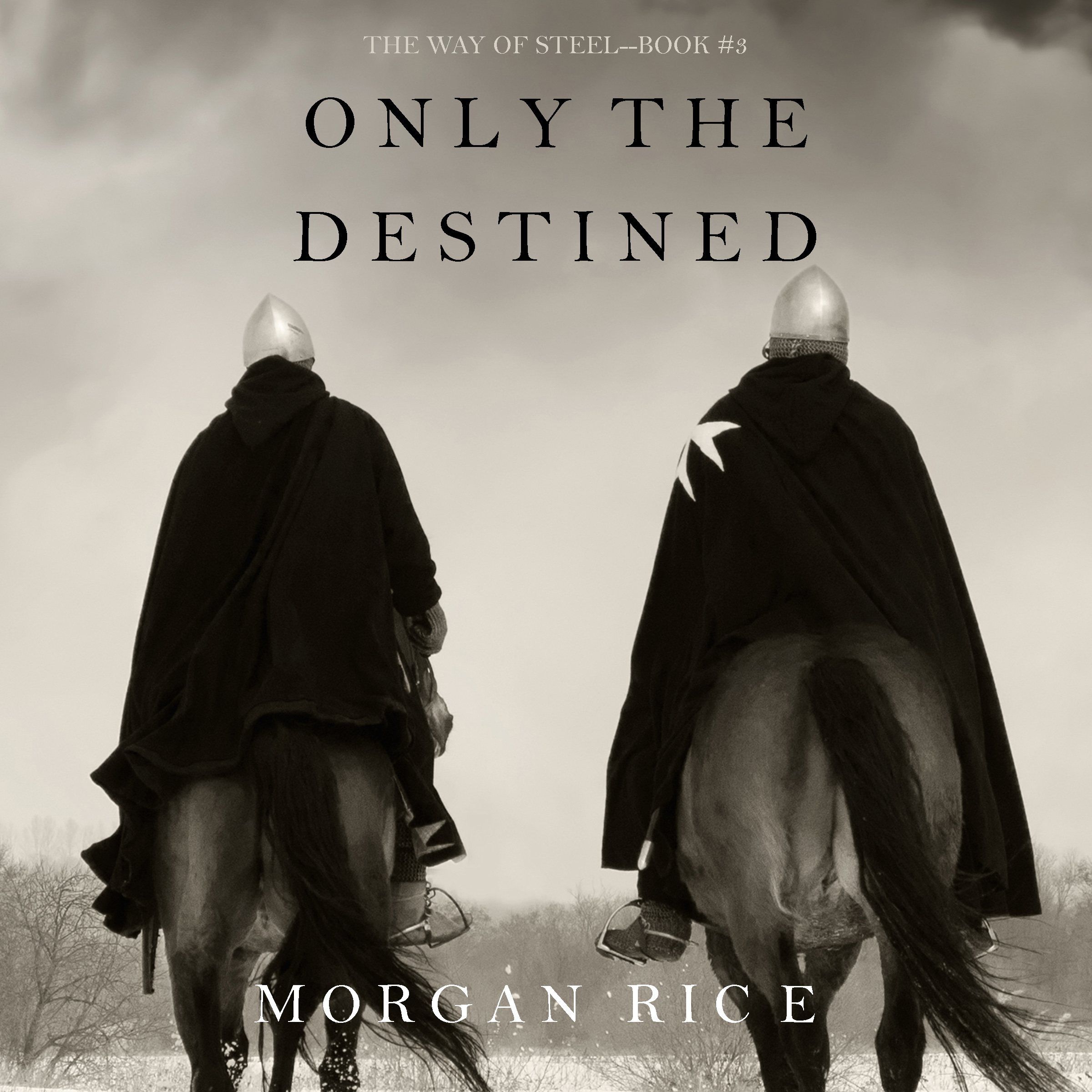 Обложка книги «Only the Destined»