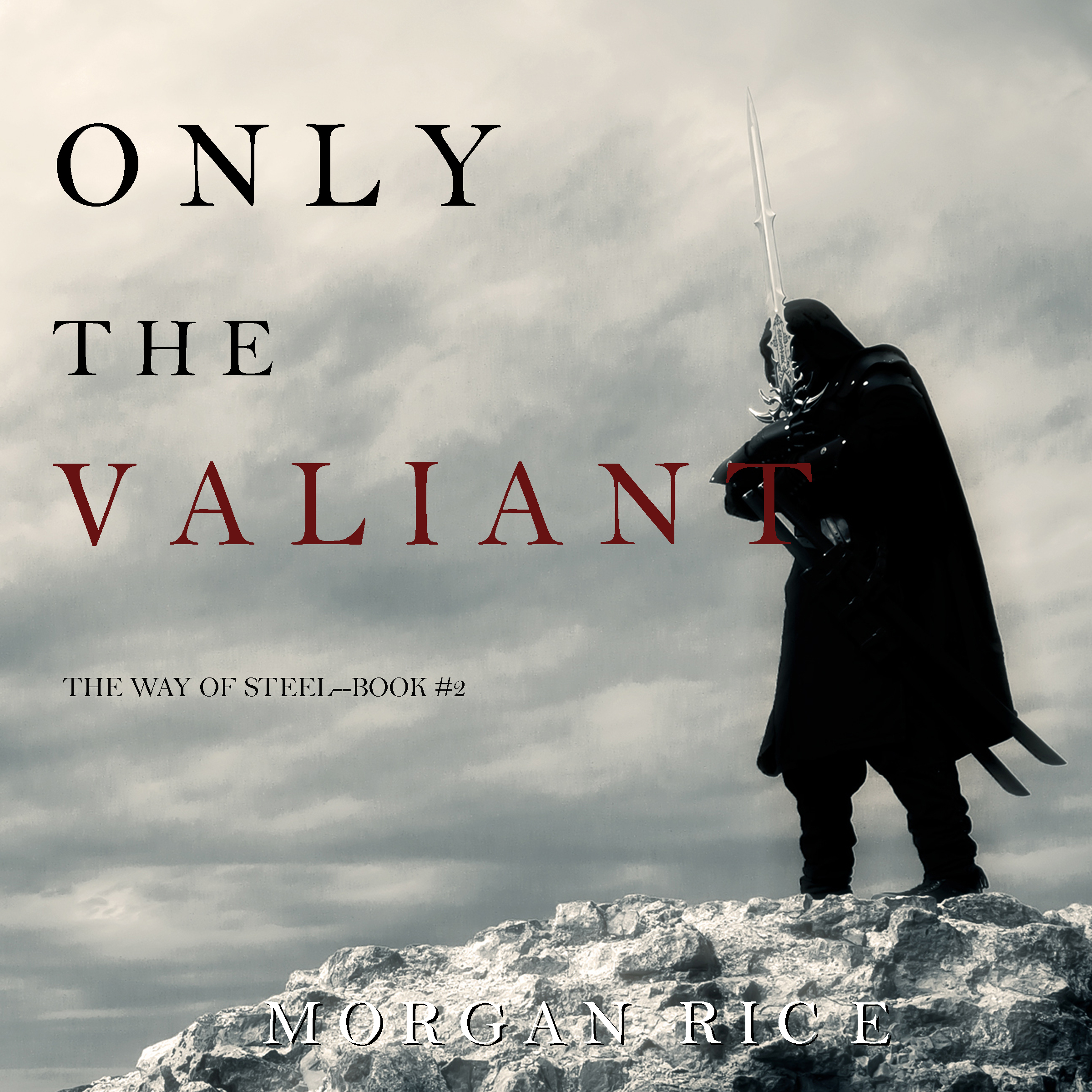 Обложка книги «Only the Valiant»