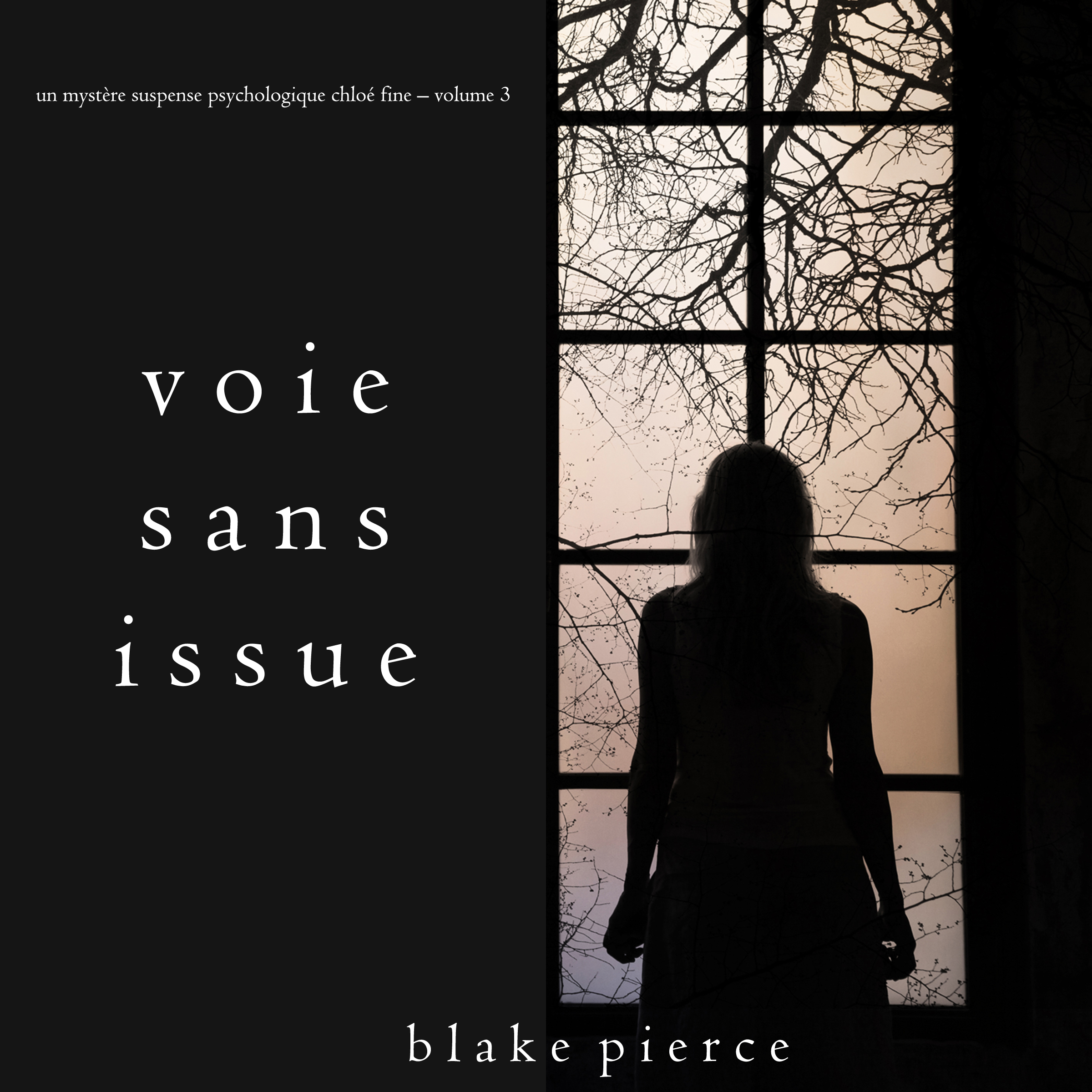 Обложка книги «Voie sans issue»