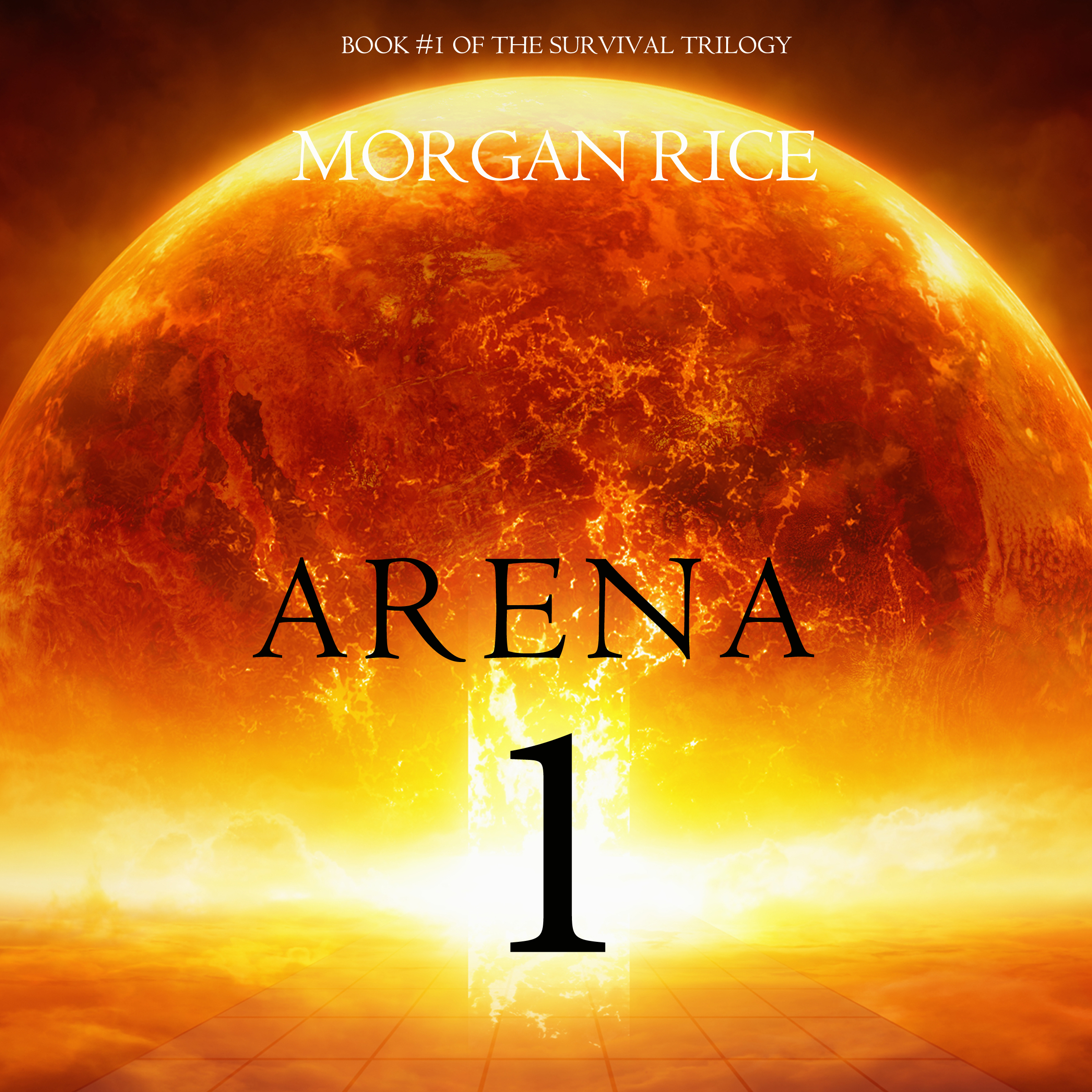 Обложка книги «Arena 1»