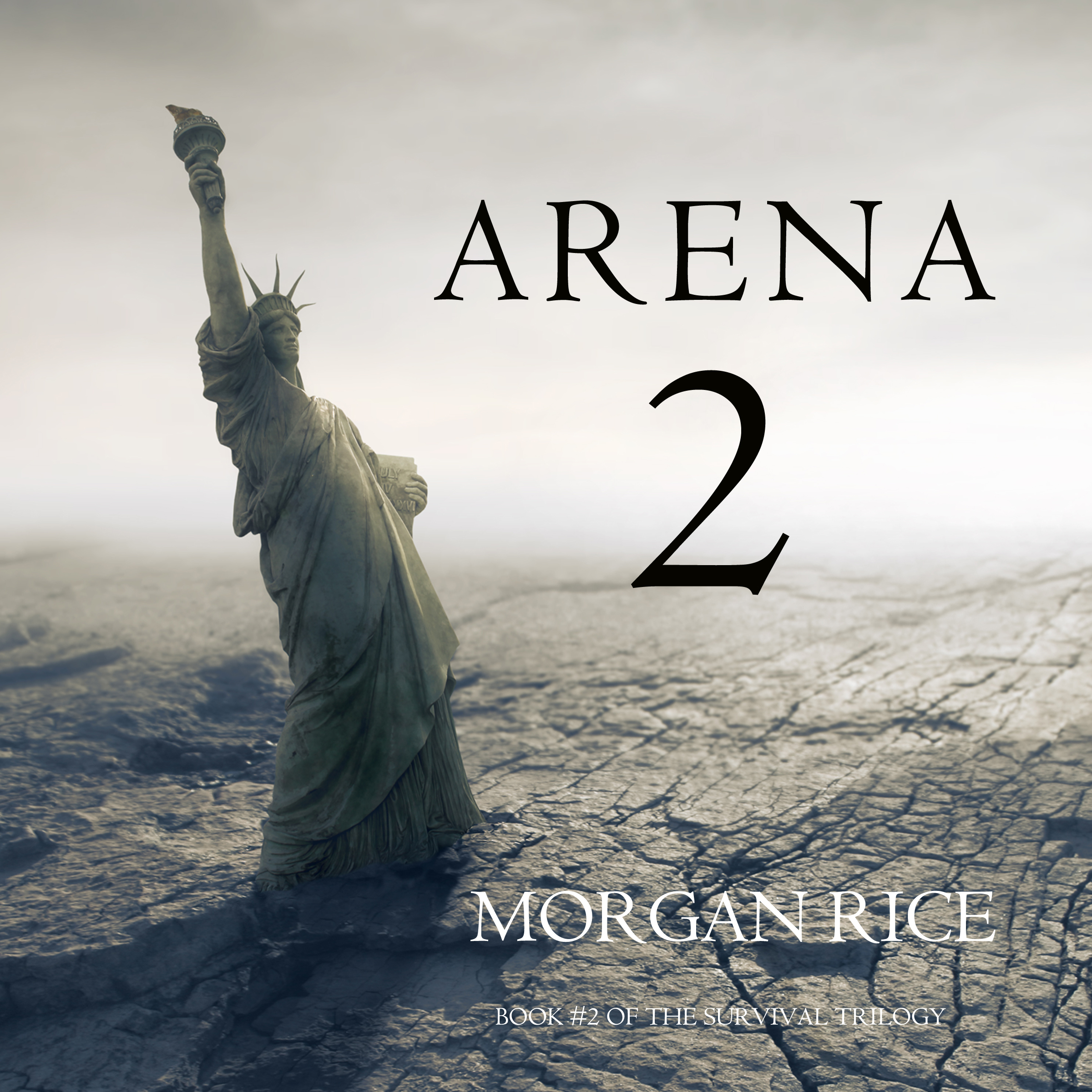 Обложка книги «Arena 2»