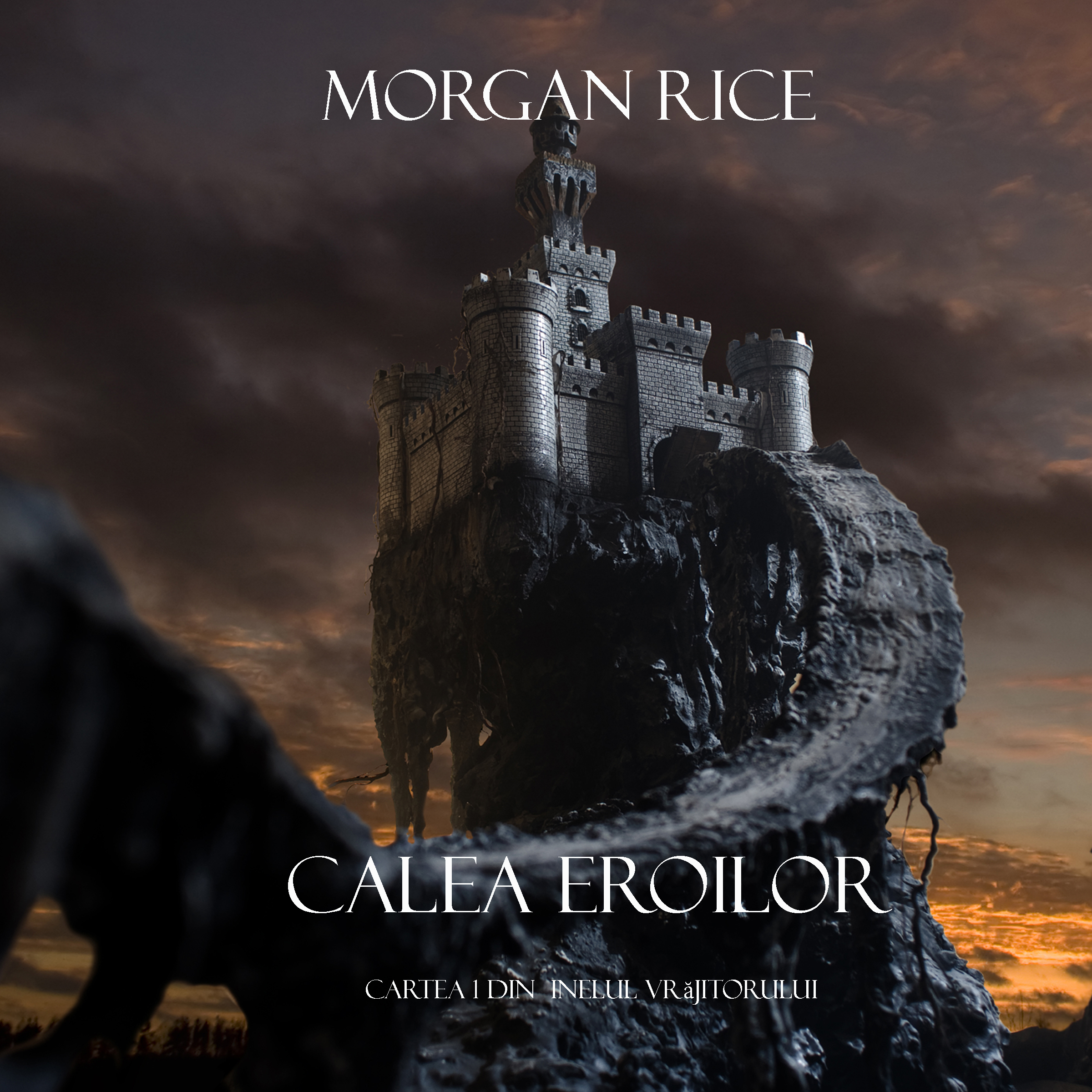 Обложка книги «Calea Eroilor»