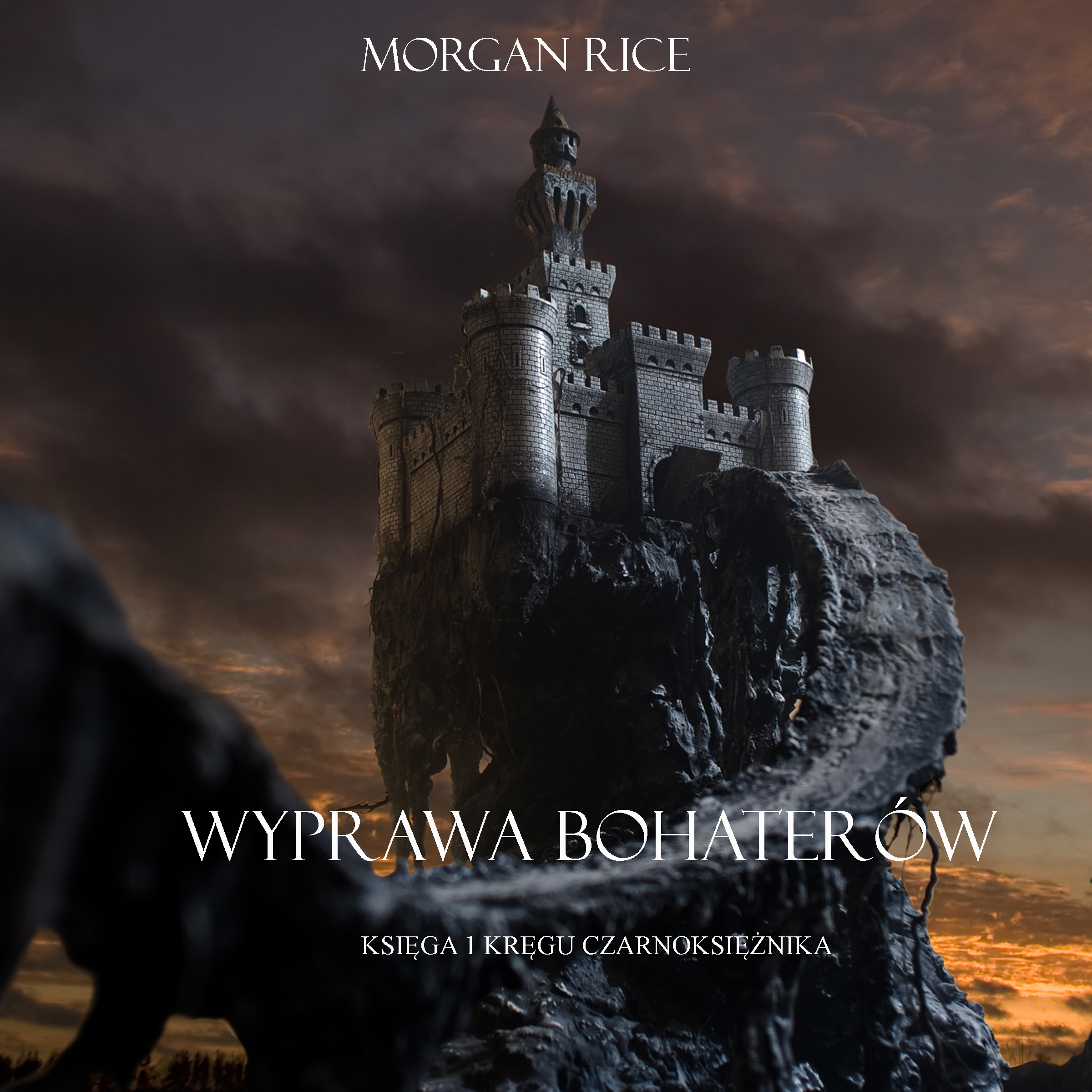 Обложка книги «Wyprawa Bohaterów»