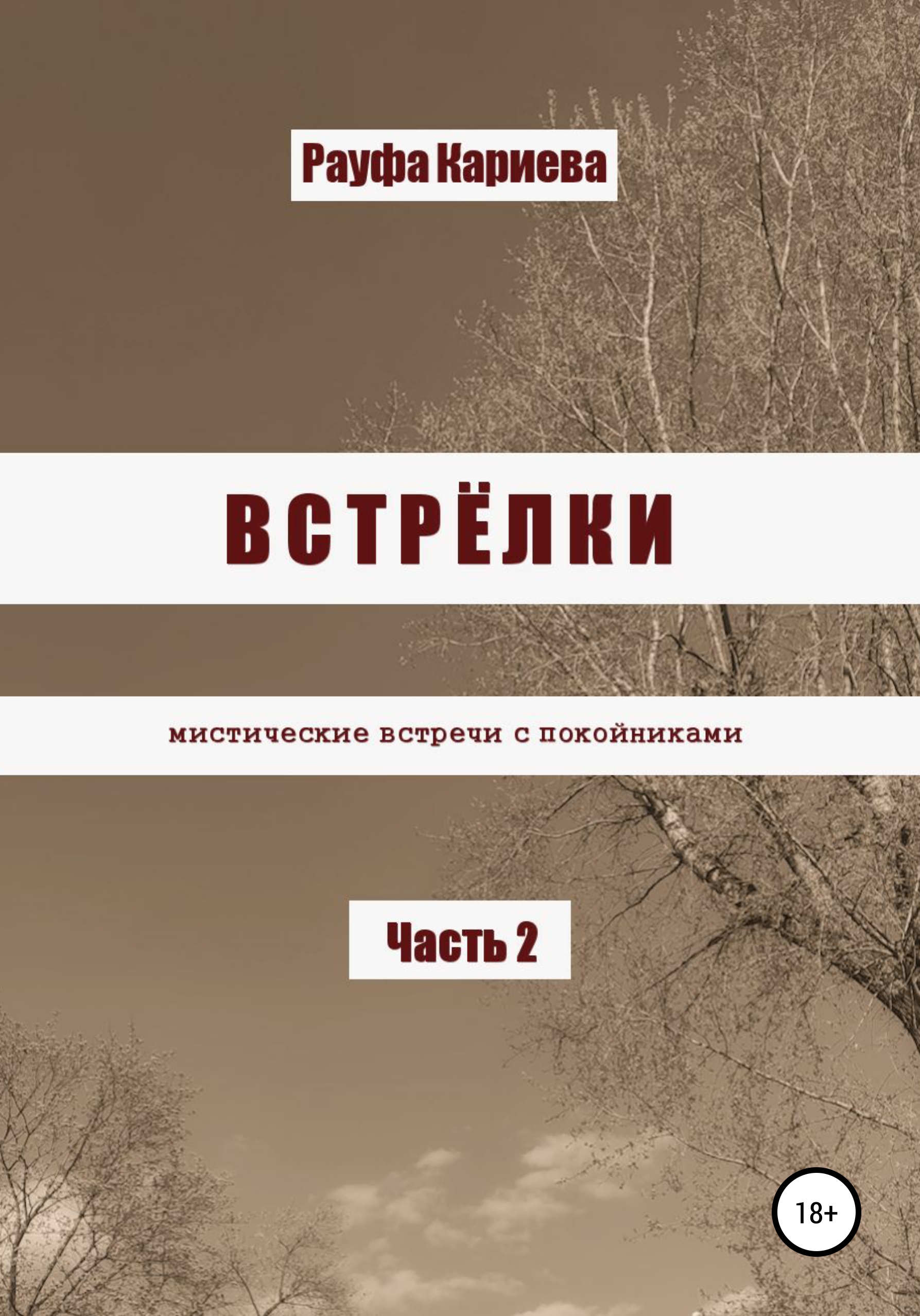 Обложка книги «Встрёлки 2»
