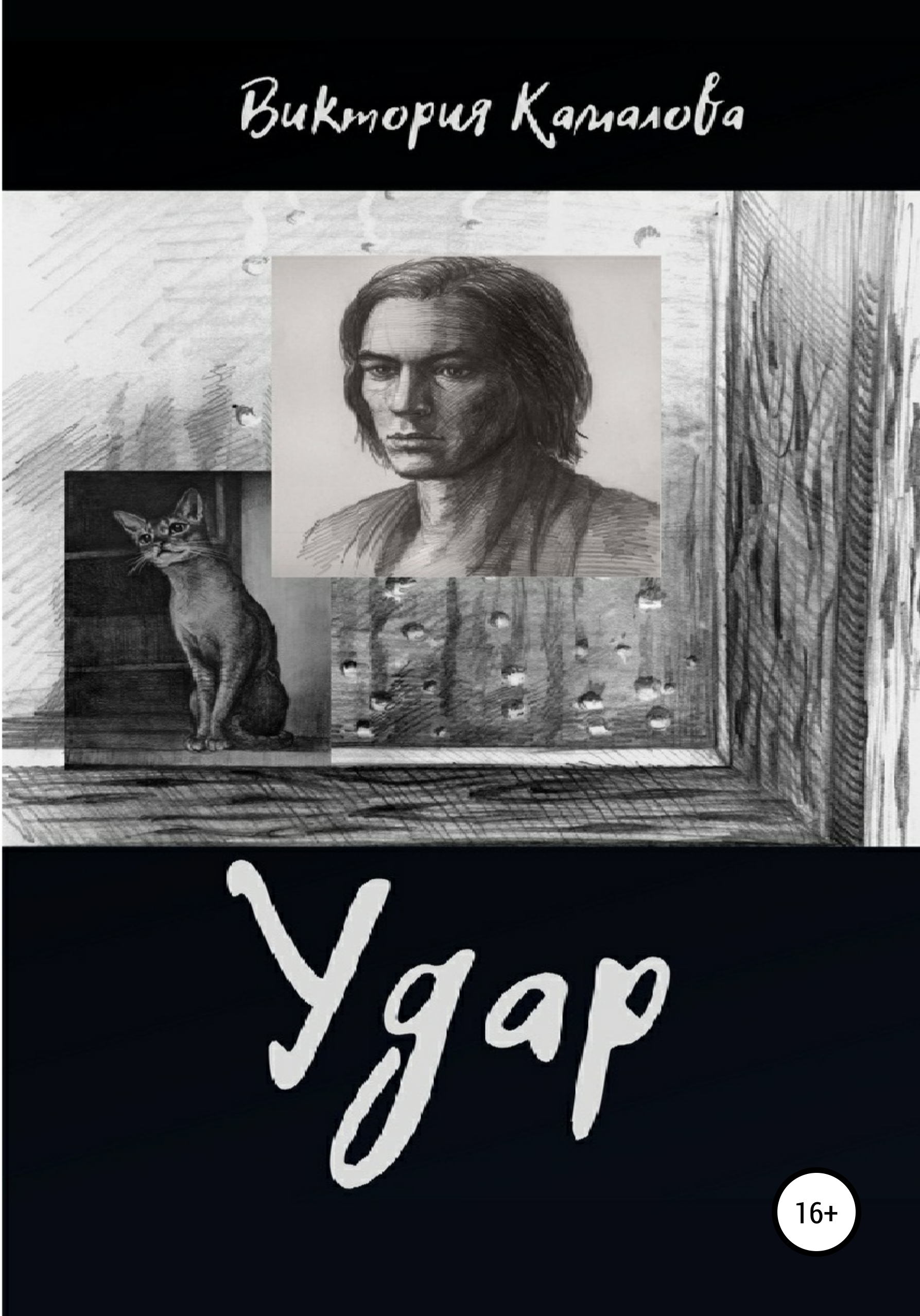 Обложка книги «Удар»