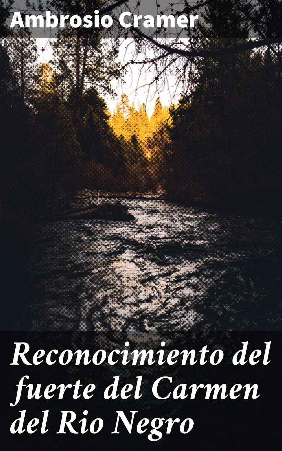 Обложка книги «Reconocimiento del fuerte del Carmen del Rio Negro»