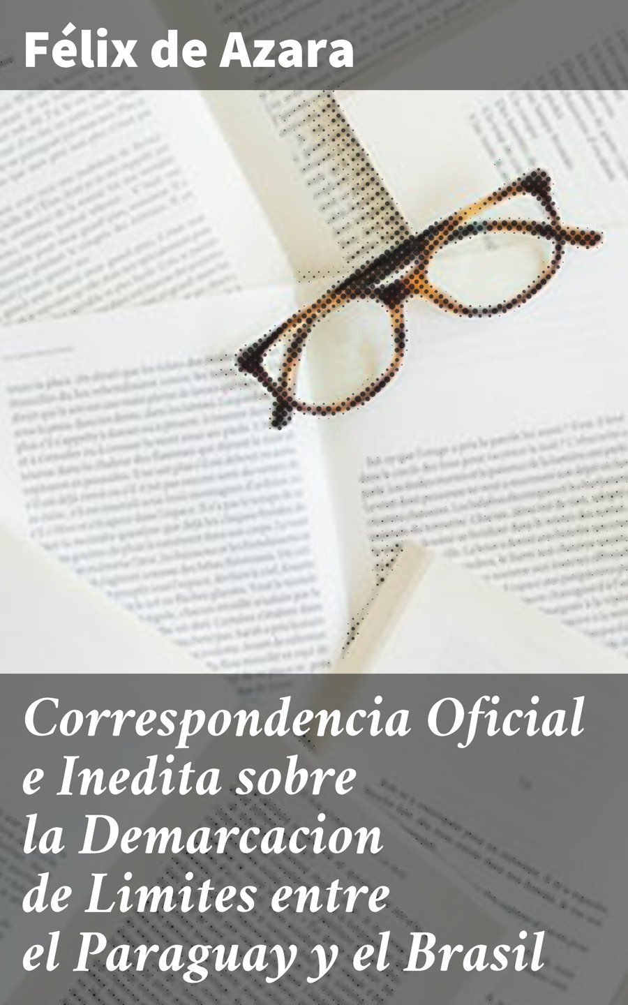 Обложка книги «Correspondencia Oficial e Inedita sobre la Demarcacion de Limites entre el Paraguay y el Brasil»