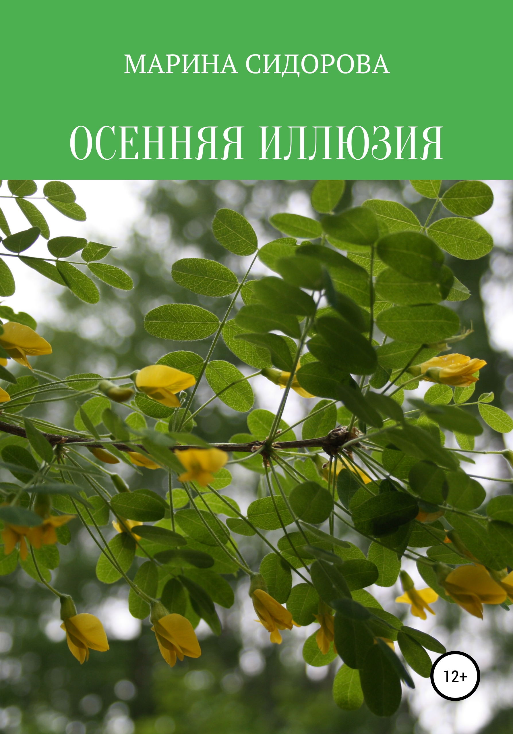 Обложка книги «Осенняя иллюзия»