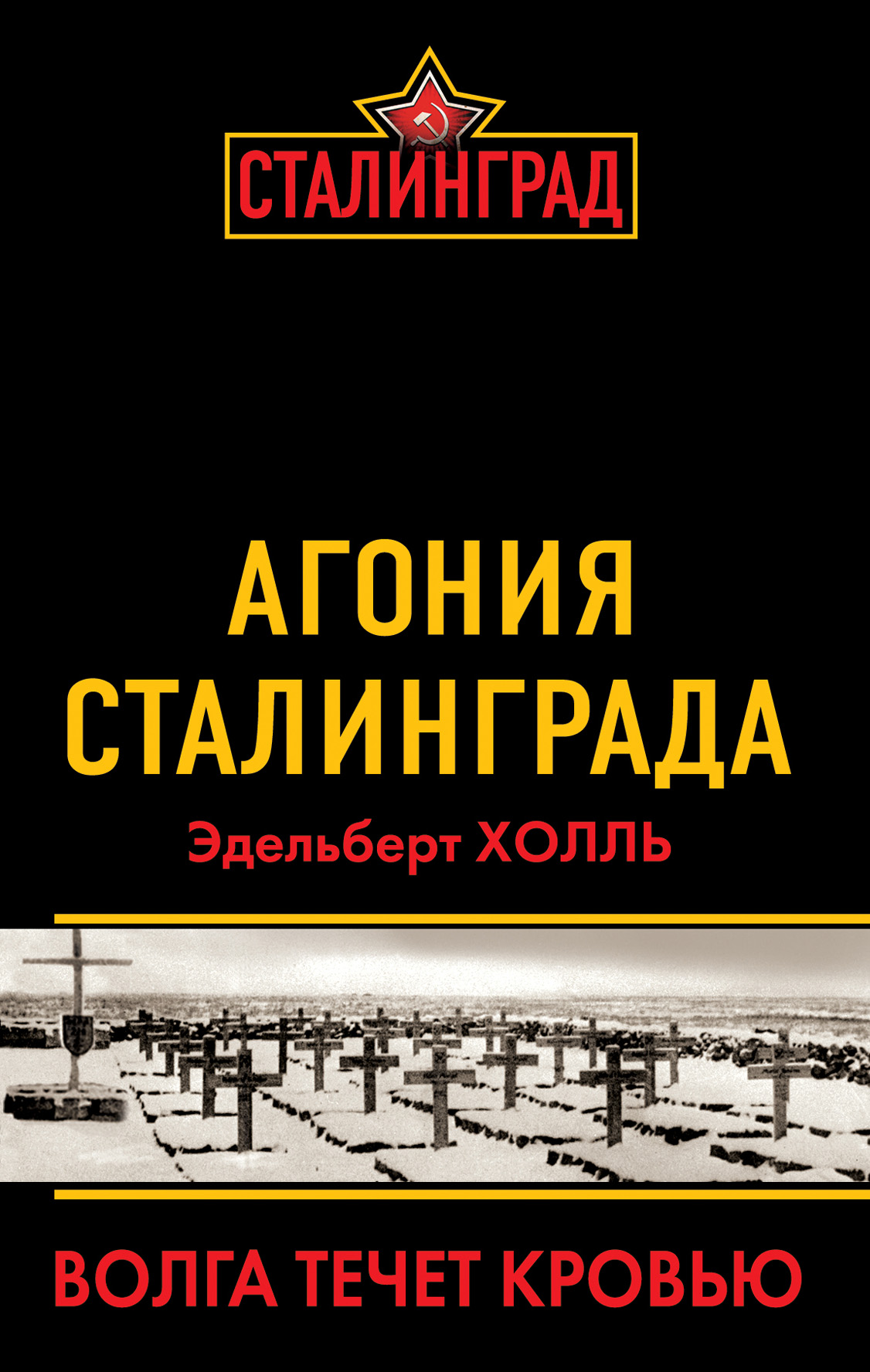 Обложка книги «Агония Сталинграда. Волга течет кровью»