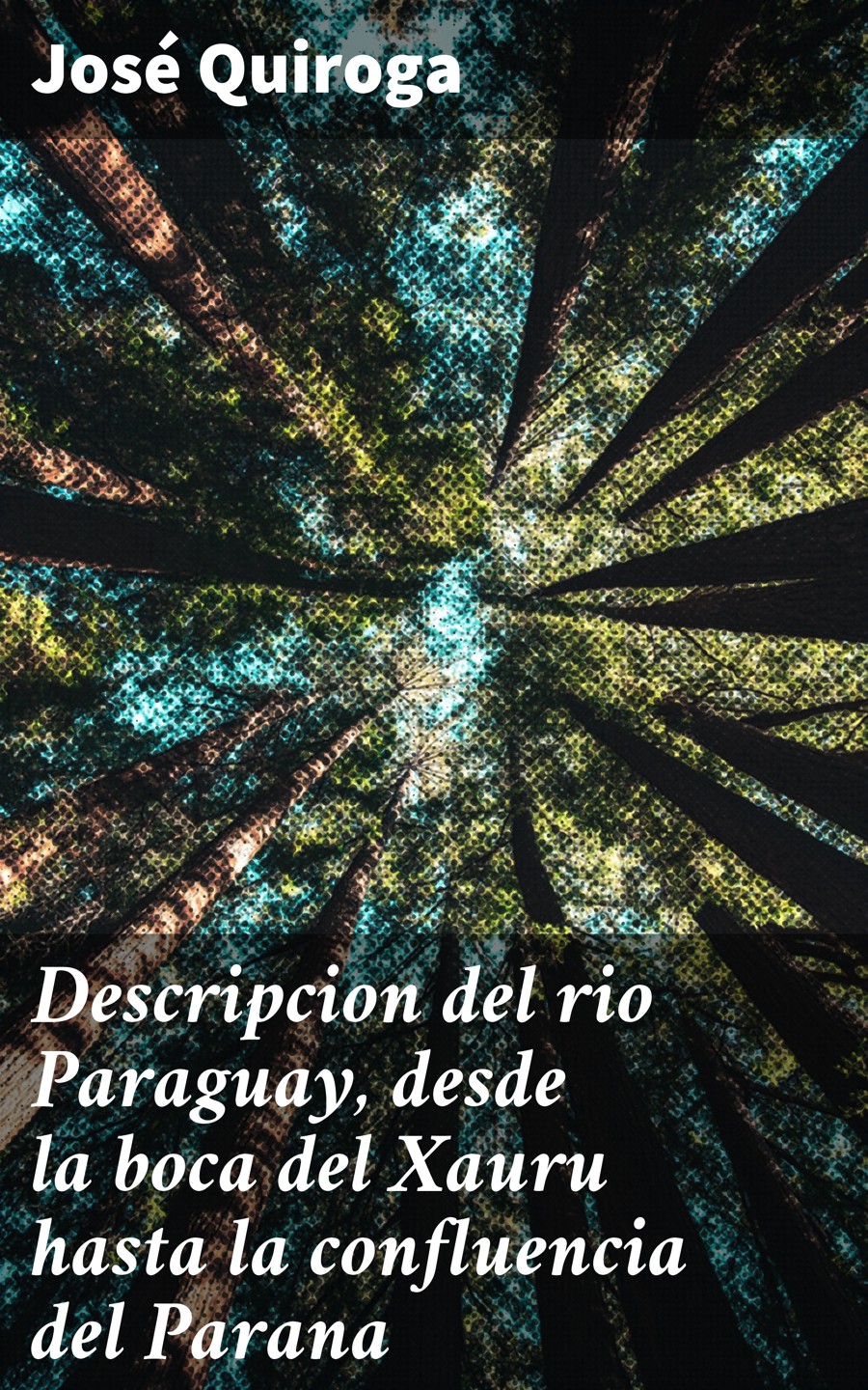 Обложка книги «Descripcion del rio Paraguay, desde la boca del Xauru hasta la confluencia del Parana»