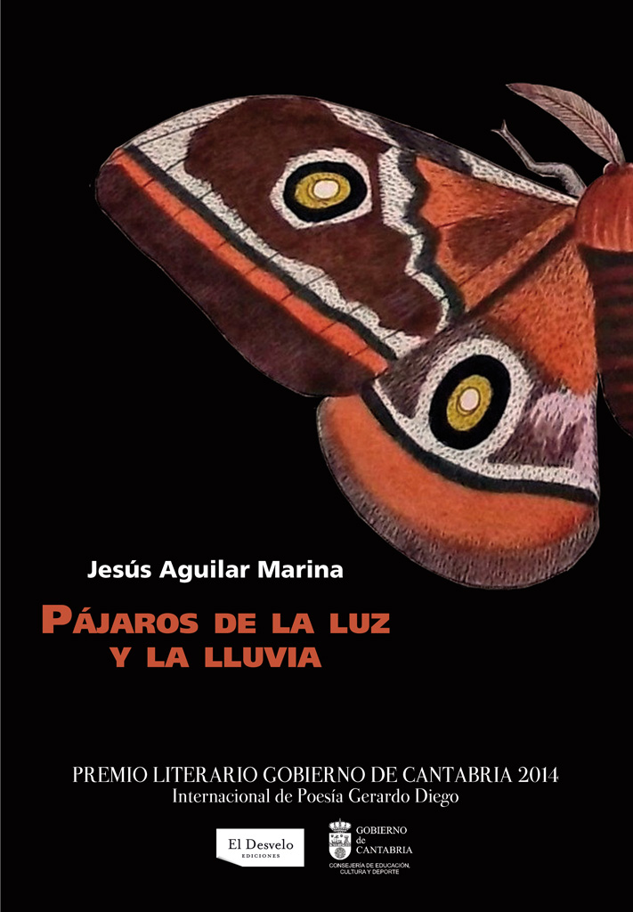 Обложка книги «Pájaros de la luz y la lluvia»