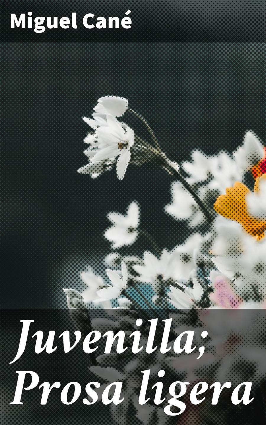 Обложка книги «Juvenilla; Prosa ligera»