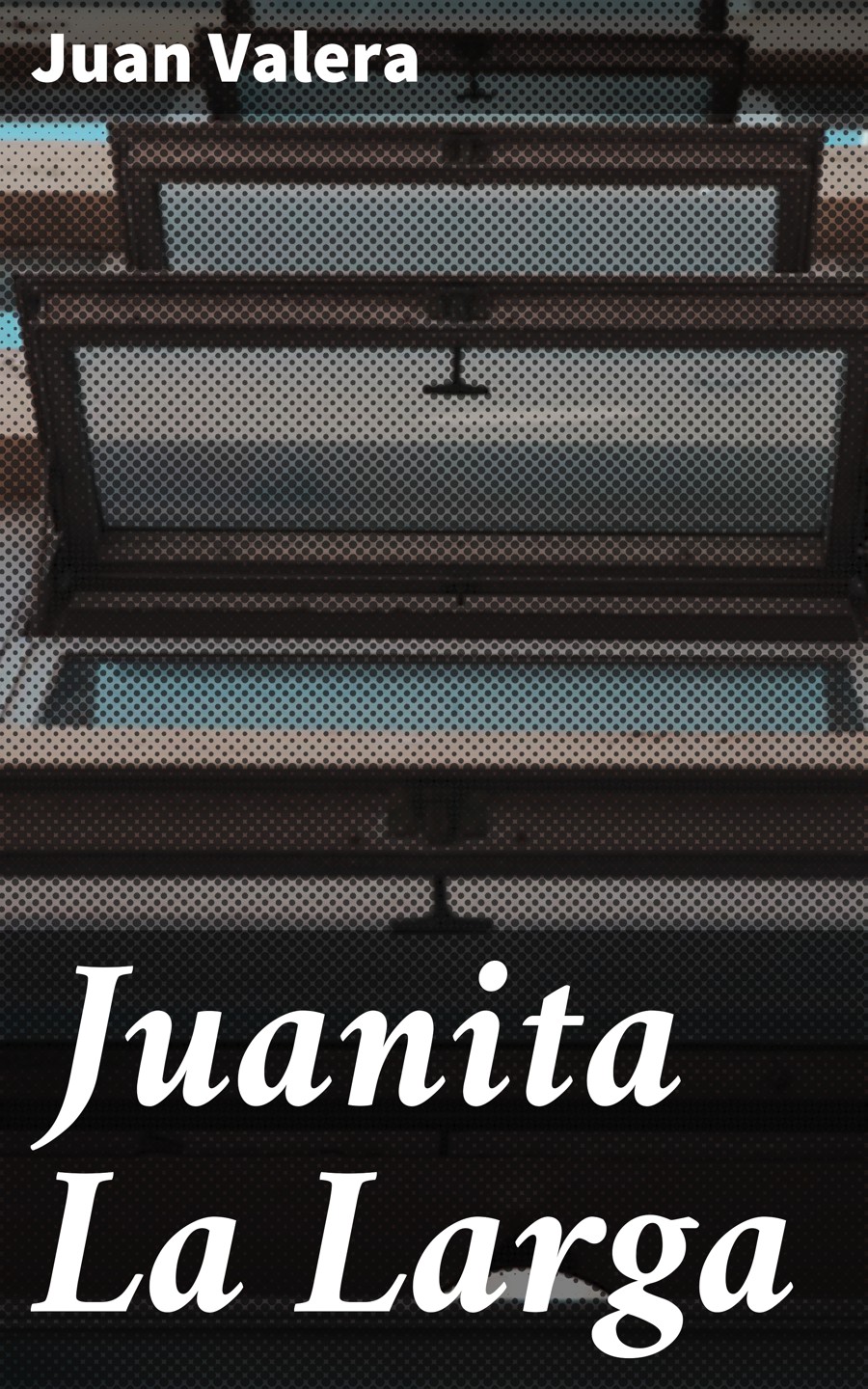 Обложка книги «Juanita La Larga»