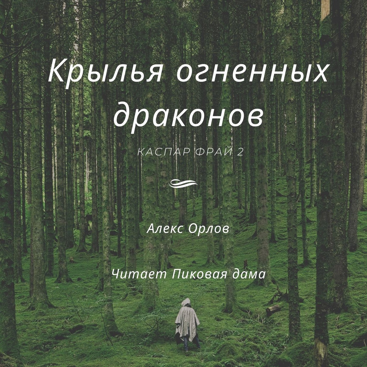 Обложка книги «Крылья огненных драконов»