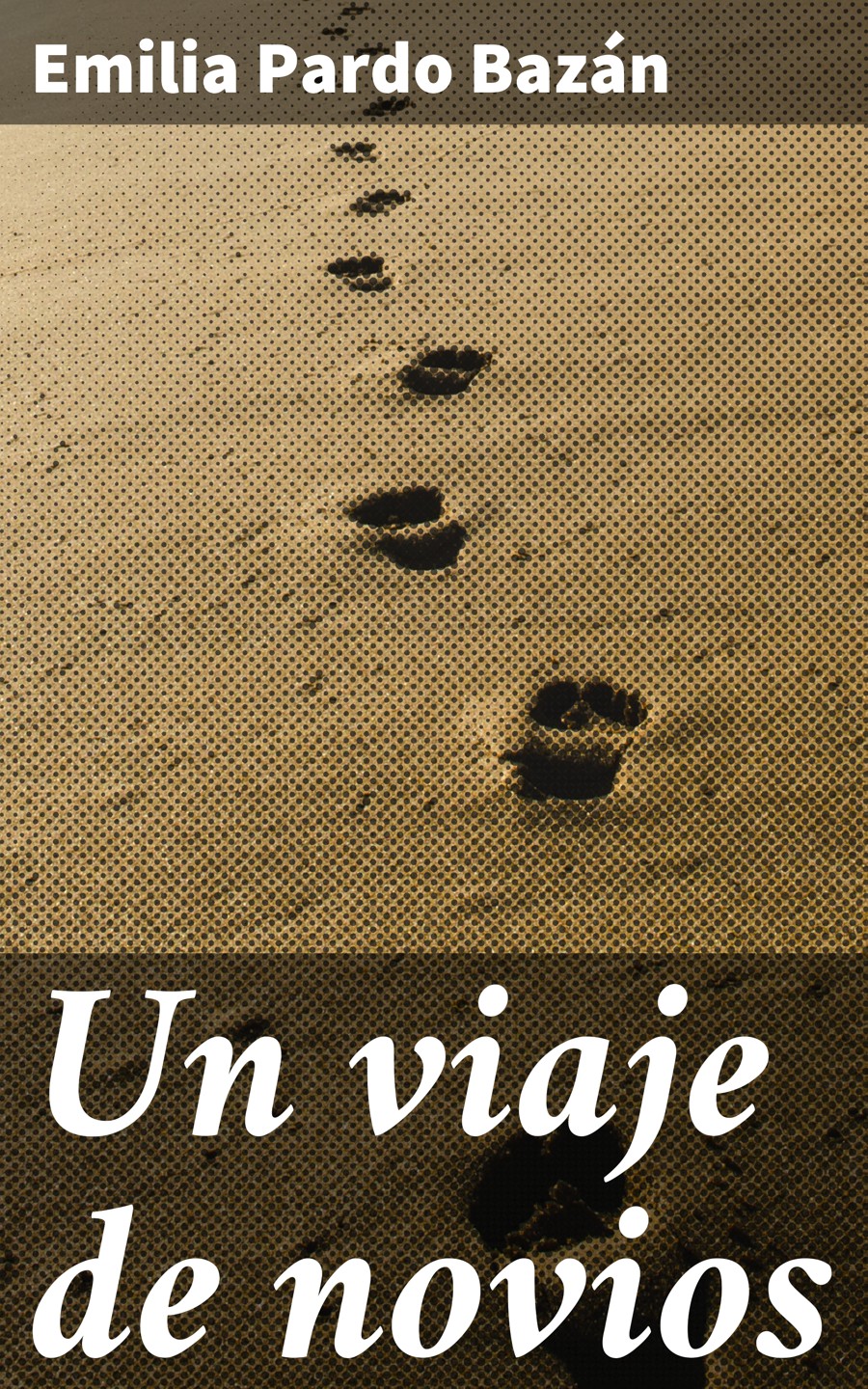Обложка книги «Un viaje de novios»