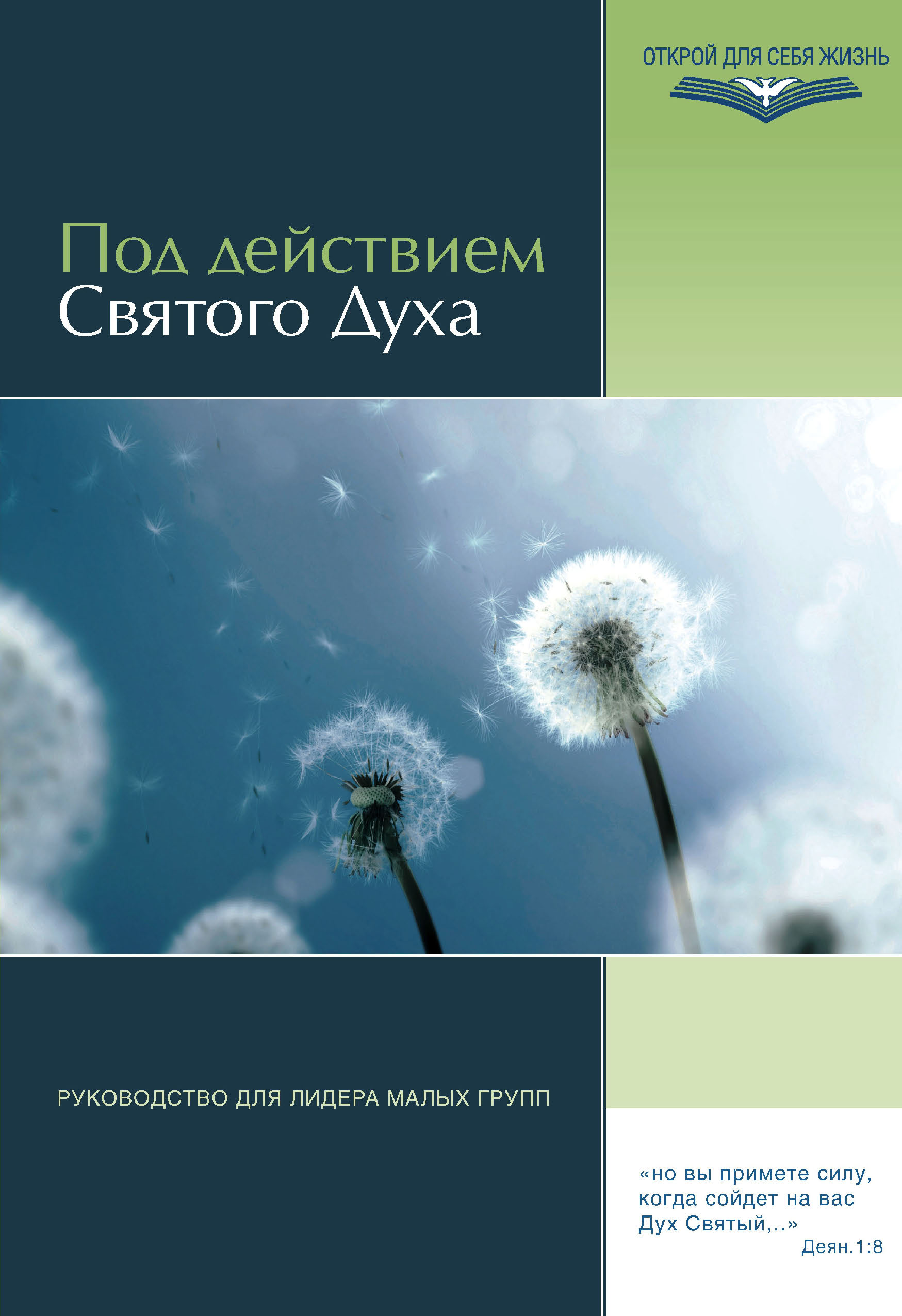 Обложка книги «Под действием Святого Духа. Руководство для лидера малых групп»