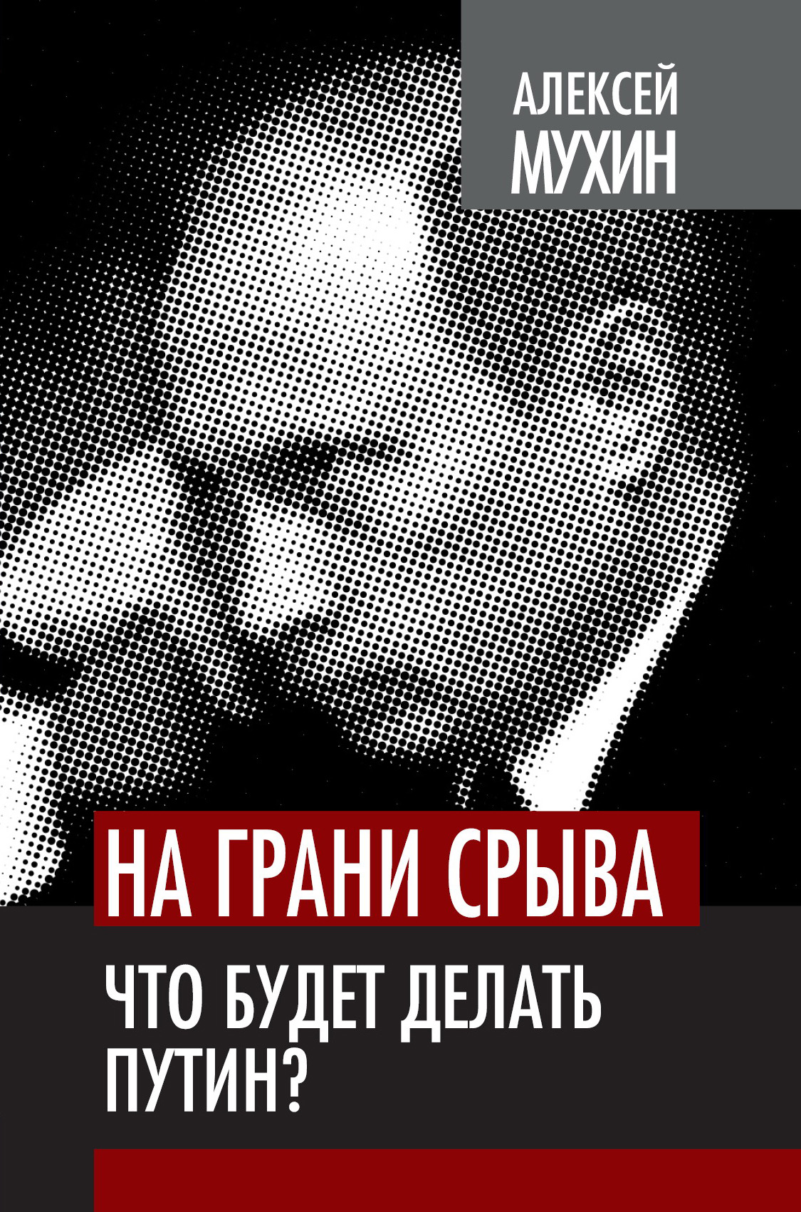 Обложка книги «На грани срыва. Что будет делать Путин?»