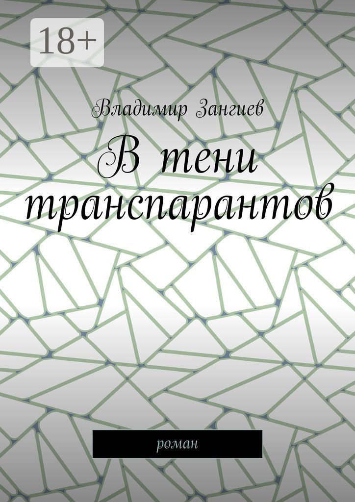 Обложка книги «В тени транспарантов. Роман»