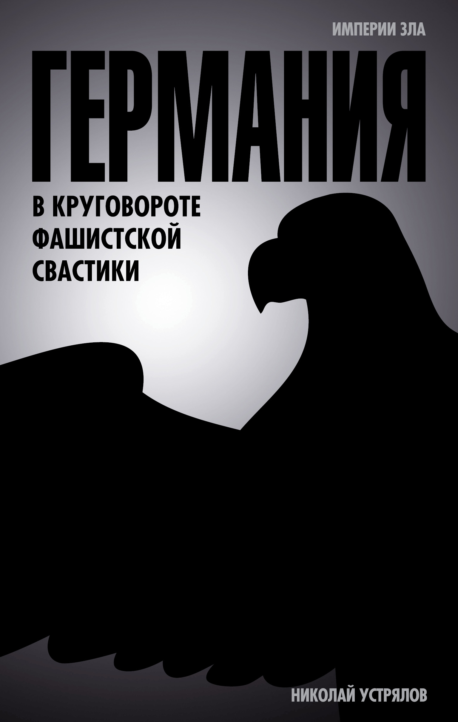 Обложка книги «Германия. В круговороте фашистской свастики»