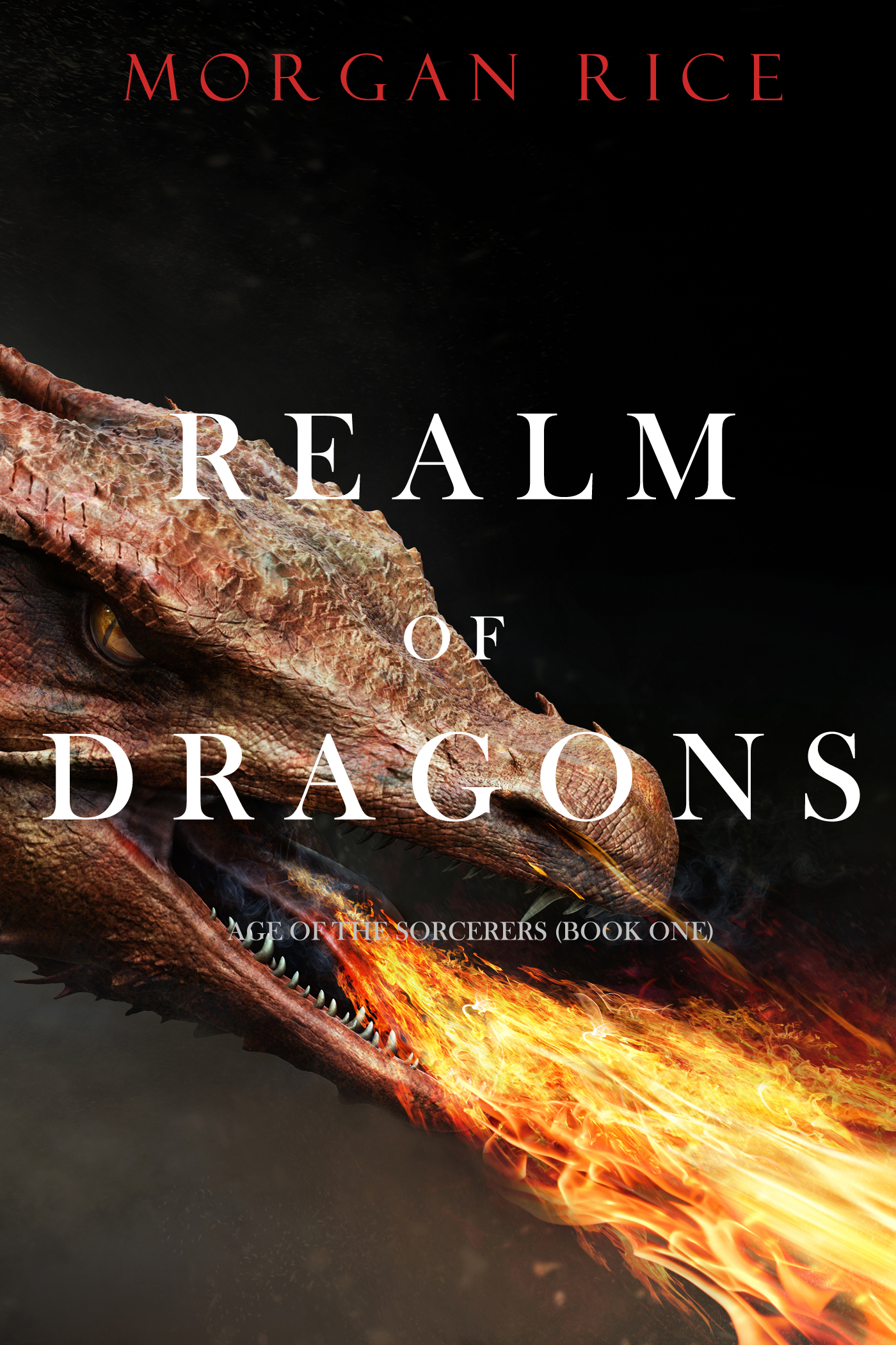 Обложка книги «Realm of Dragons»