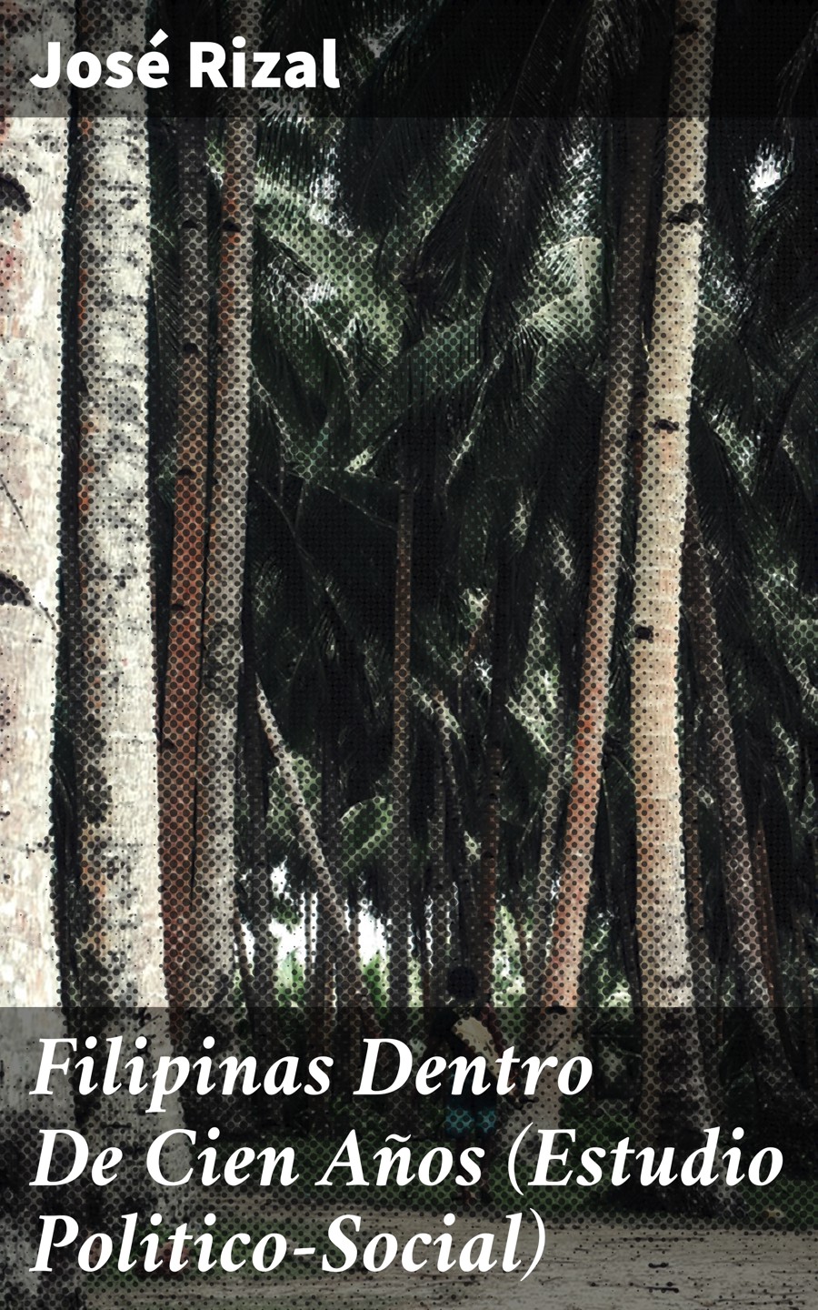 Обложка книги «Filipinas Dentro De Cien Años (Estudio Politico-Social)»