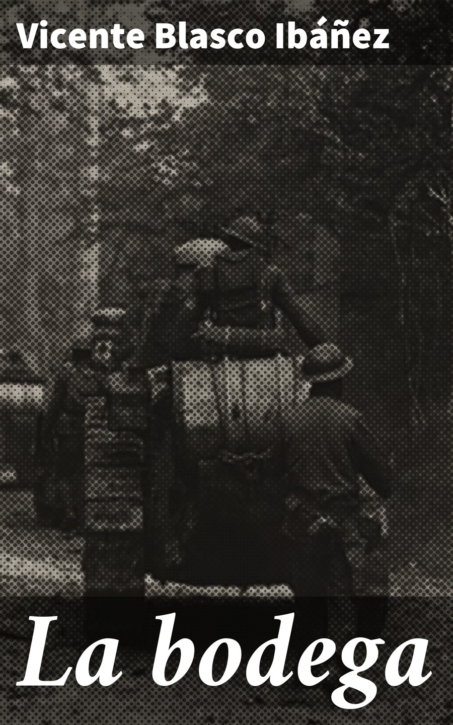Обложка книги «La bodega»