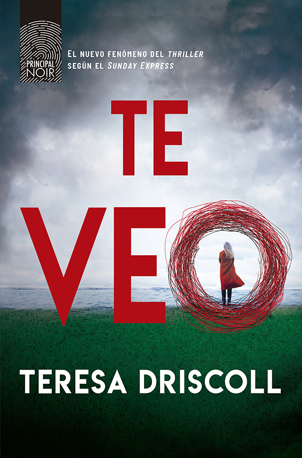 Обложка книги «Te veo»