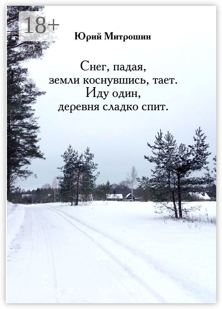 Обложка книги «Снег, падая, земли коснувшись, тает. Иду один, деревня сладко спит»