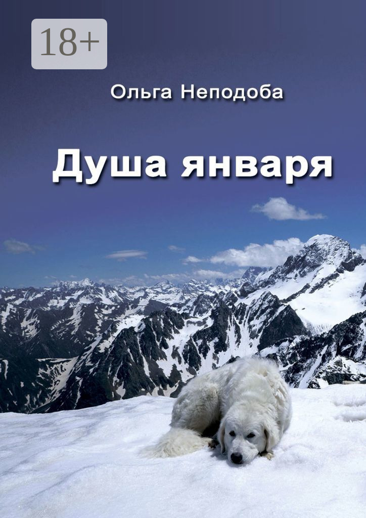 Обложка книги «Душа января»