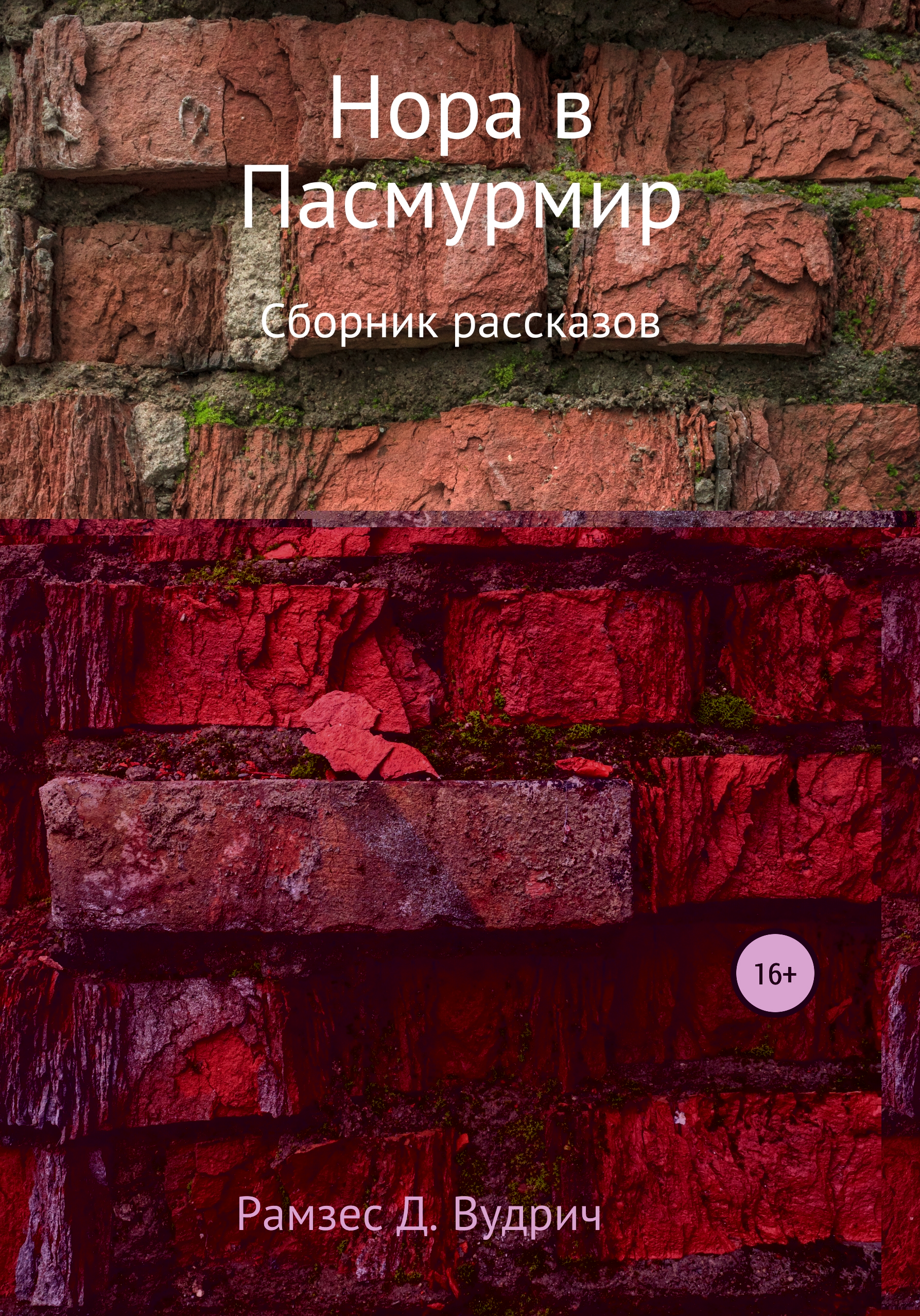 Обложка книги «Нора в Пасмурмир. Сборник рассказов»
