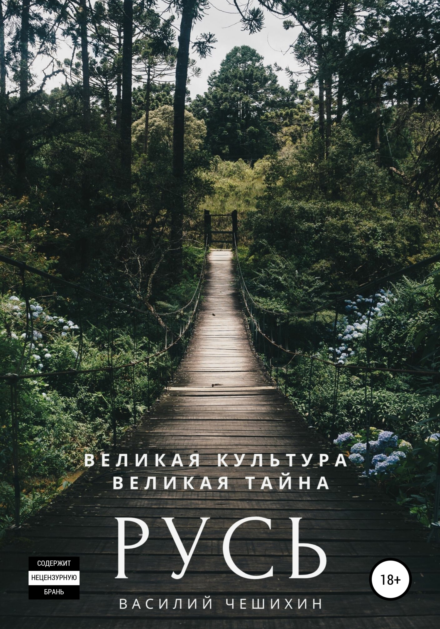 Обложка книги «Русь»